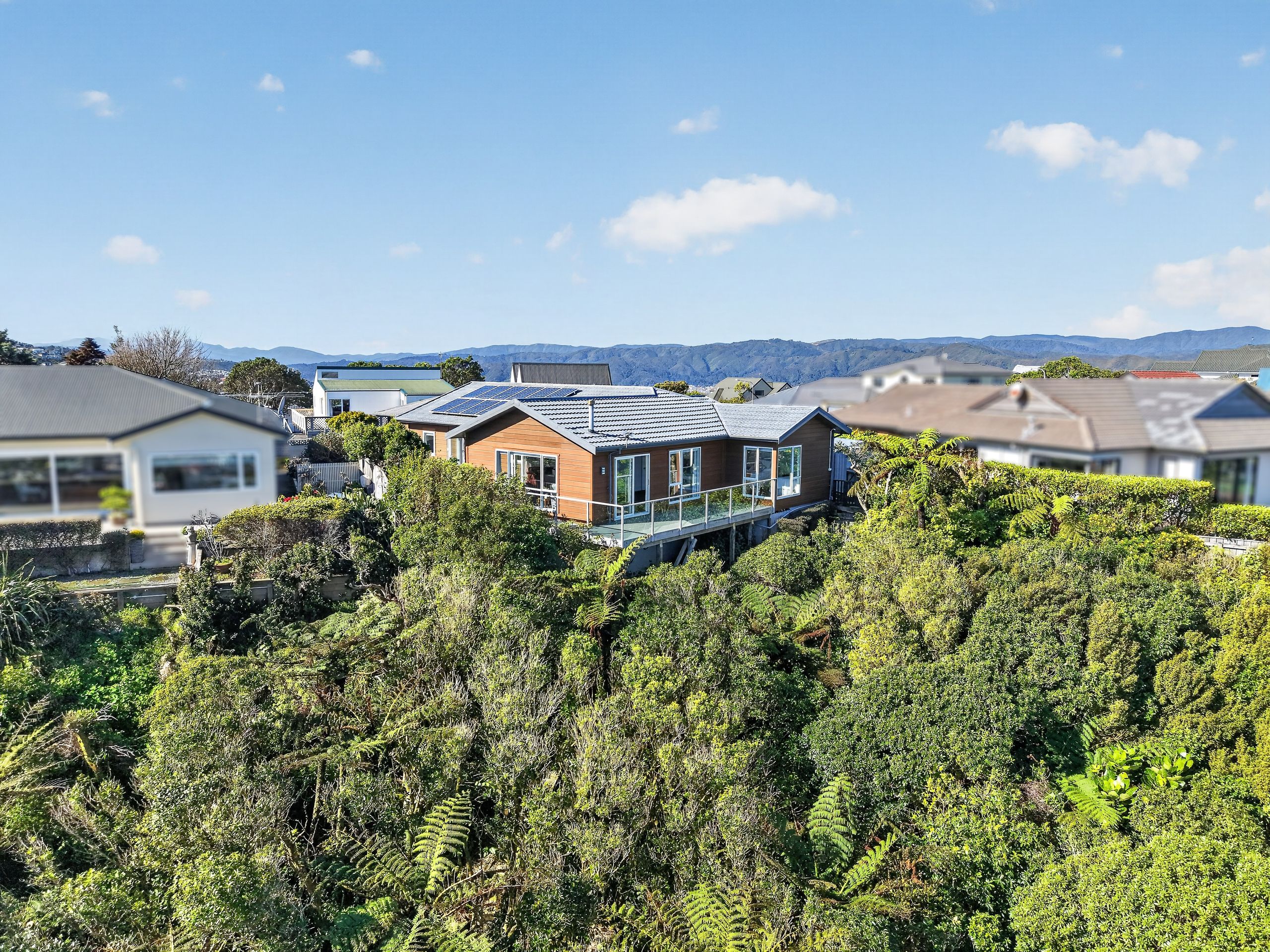 7 Lemonwood Grove, Maungaraki, Lower Hutt City