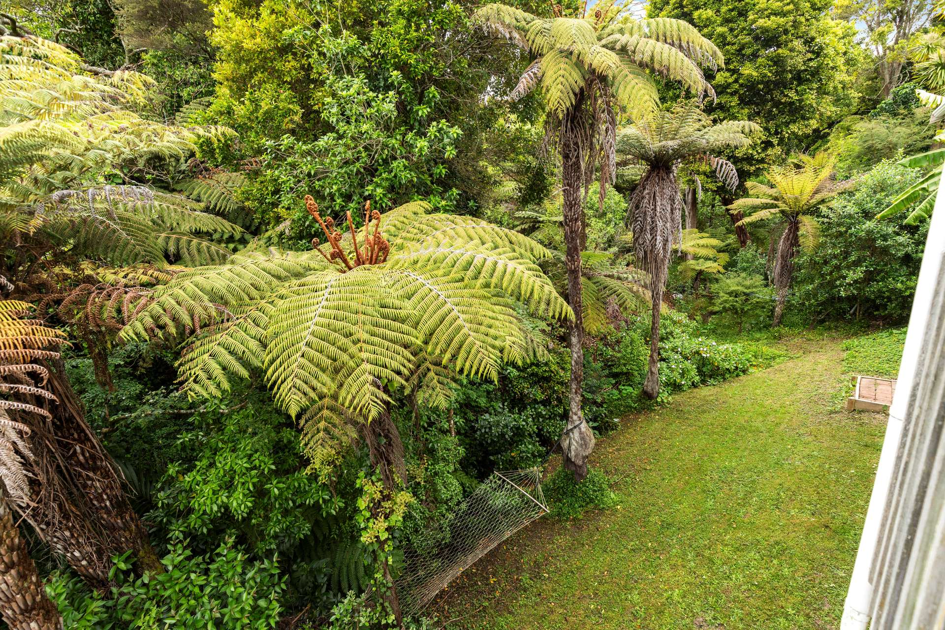 2/311 Rangatira Road photo 7