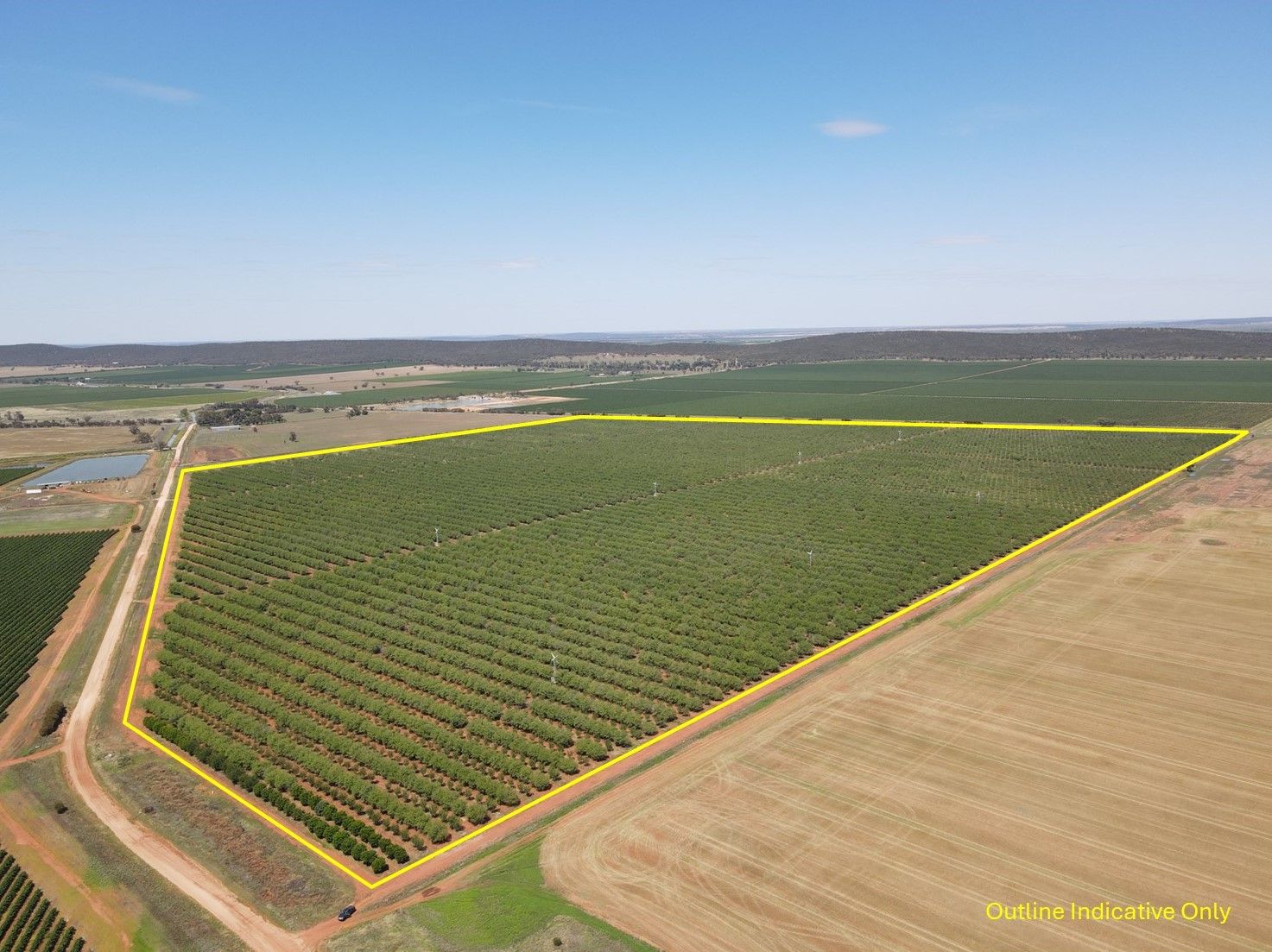 Farm 1628 Blackgate Road, Myall Park, NSW 2681
