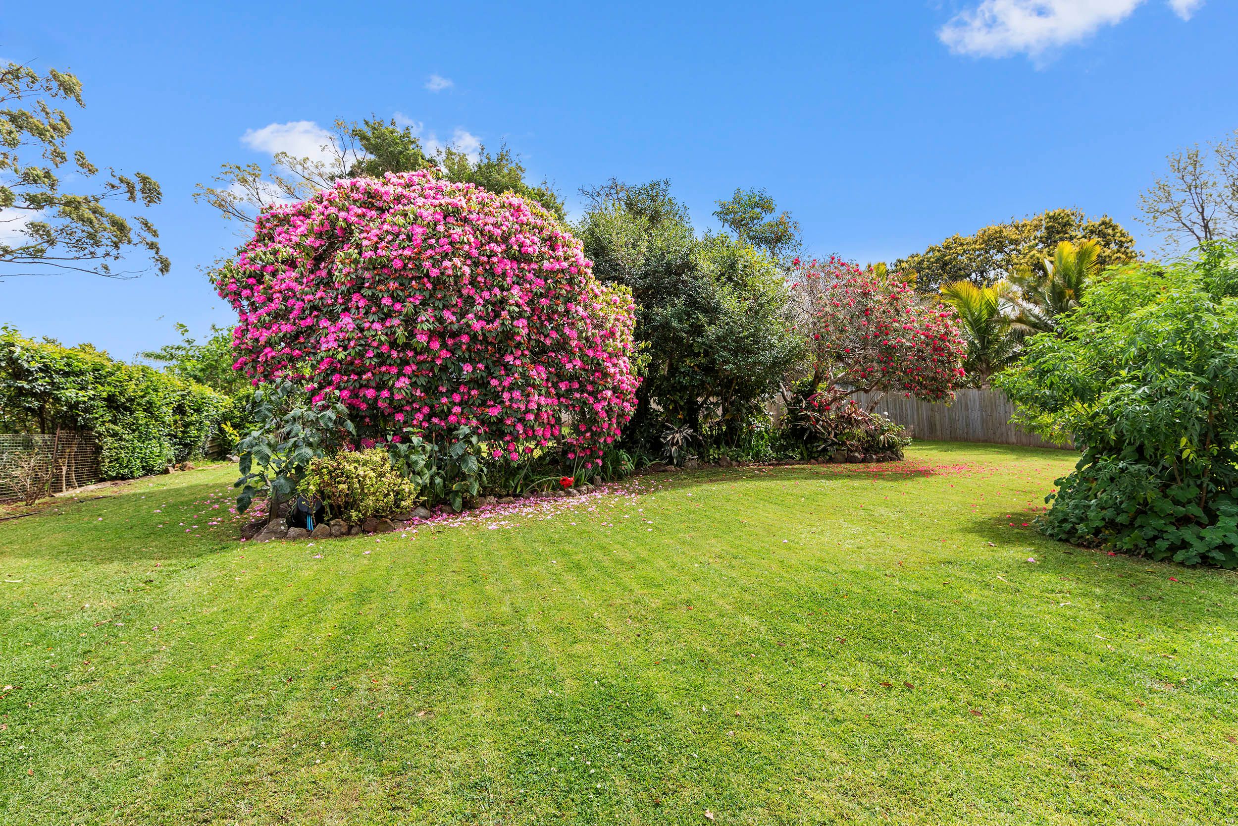53 Coomera Gorge Drive — photo 3 of 22