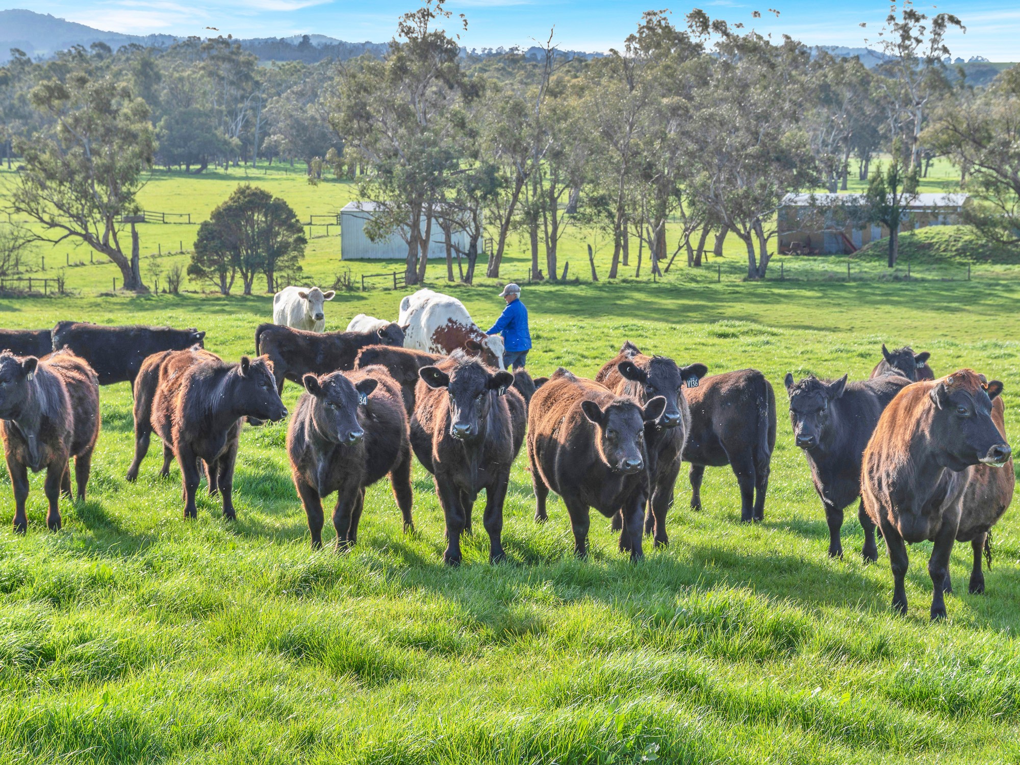 140 Seymour Road, Nar Nar Goon, VIC 3812