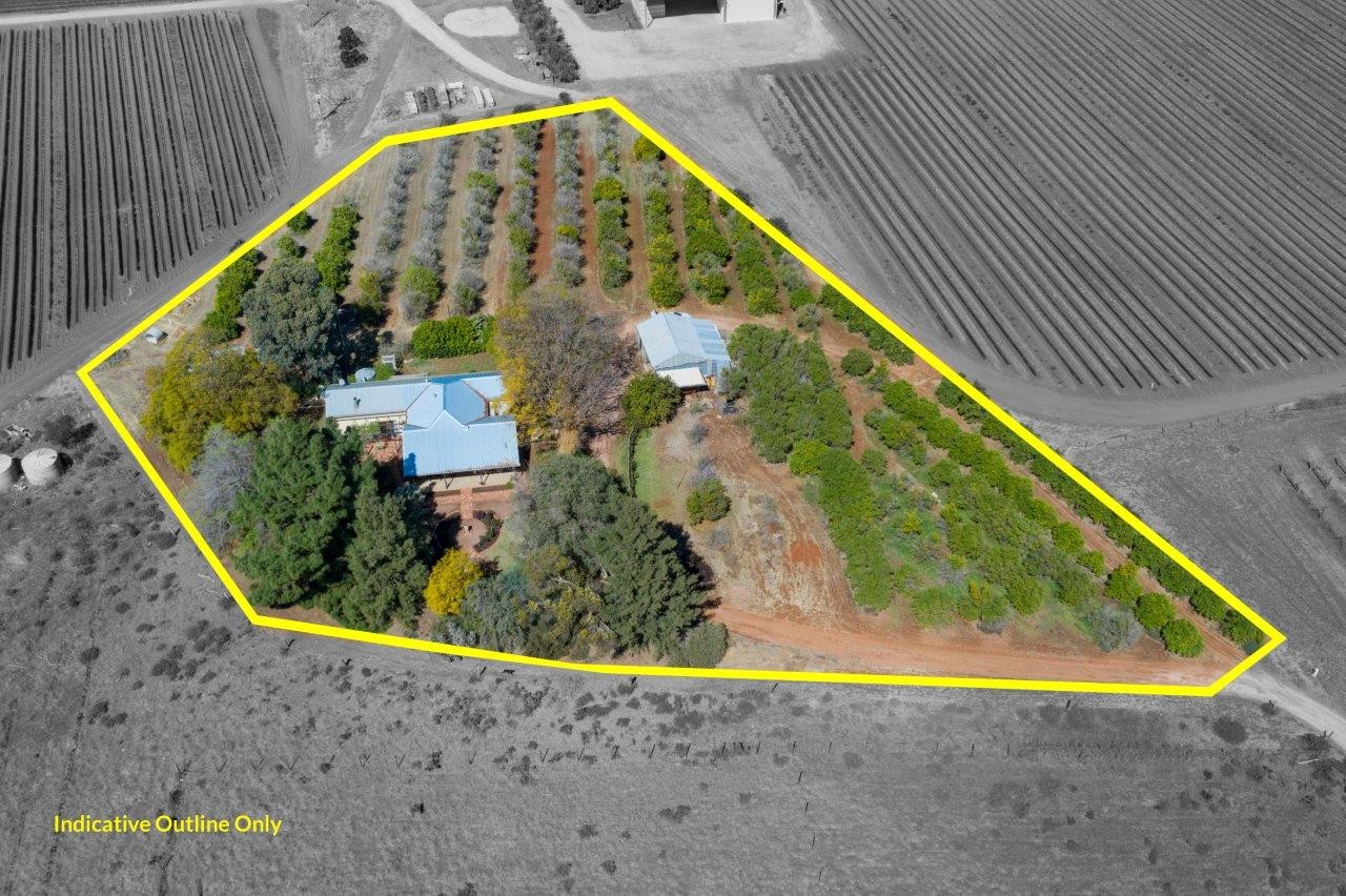 66 Stewart Road, Red Cliffs, VIC 3496