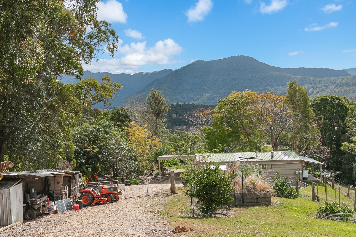 77 Tyalgum Ridge Road, Tyalgum, NSW 2484 Sold Rural Lifestyle