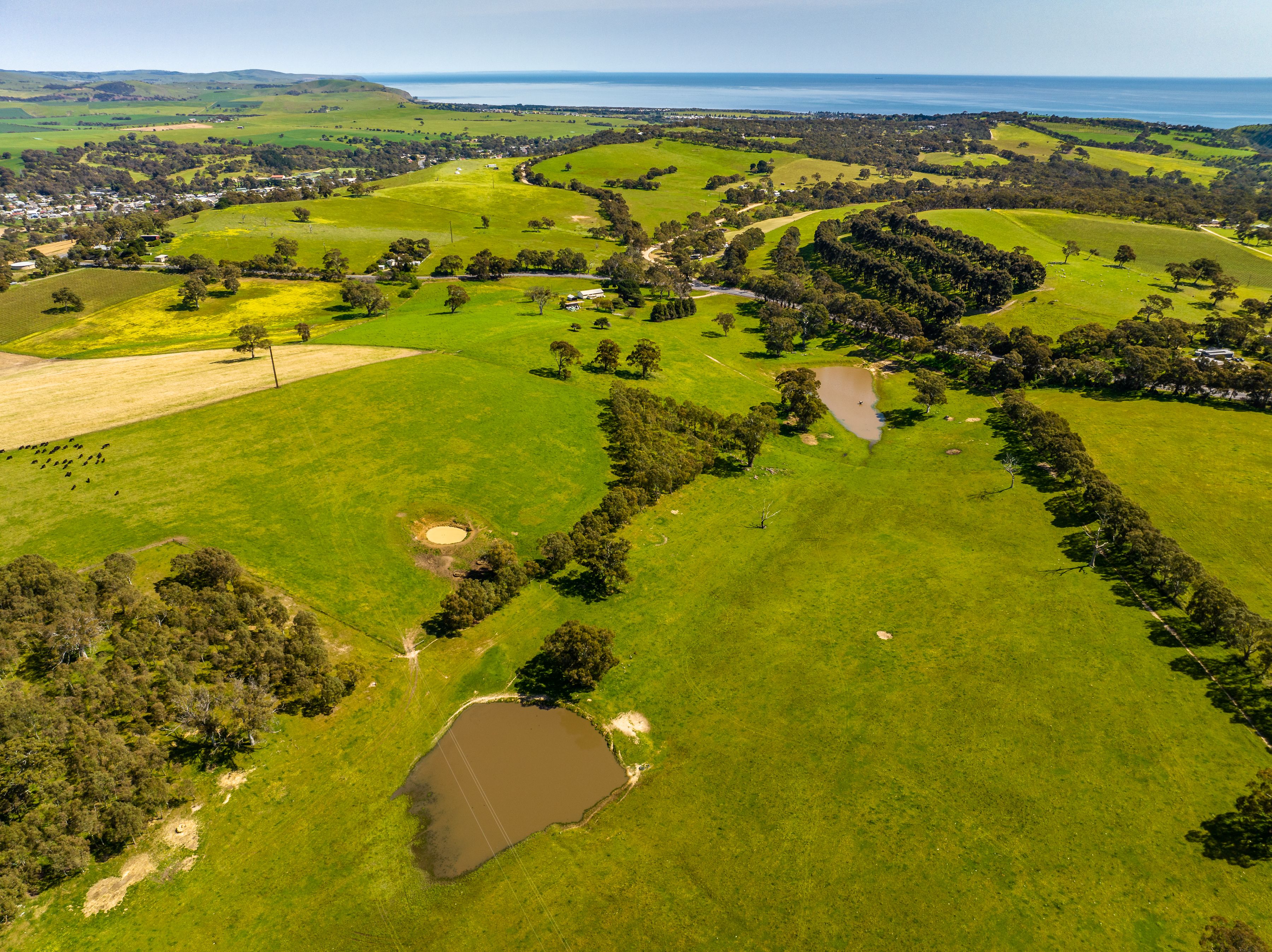 Lot 201 (Proposed),/5985 Main South Road, Yankalilla, SA 5203 Sold