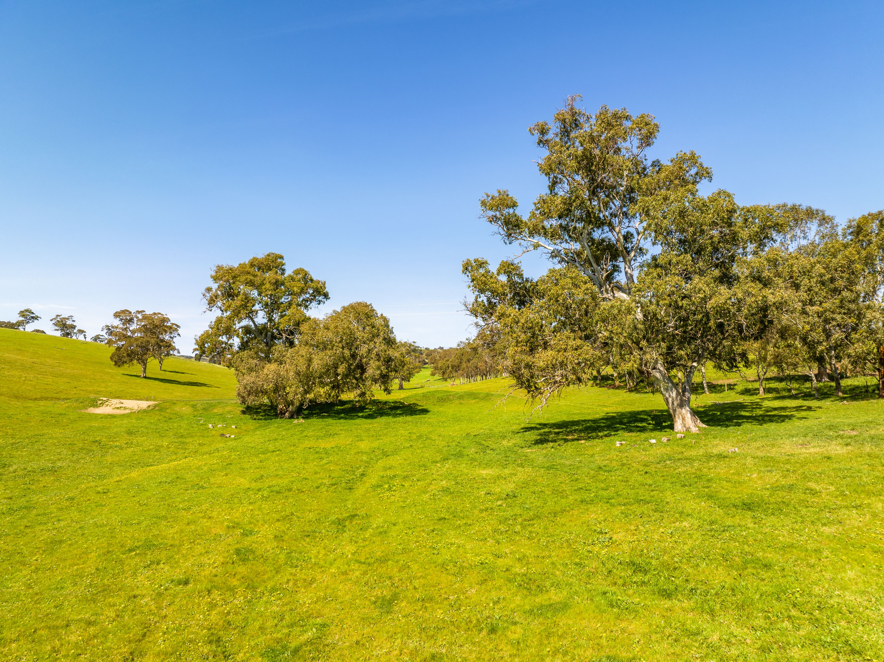 Lot 201 (Proposed),/5985 Main South Road, Yankalilla, SA 5203 Sold