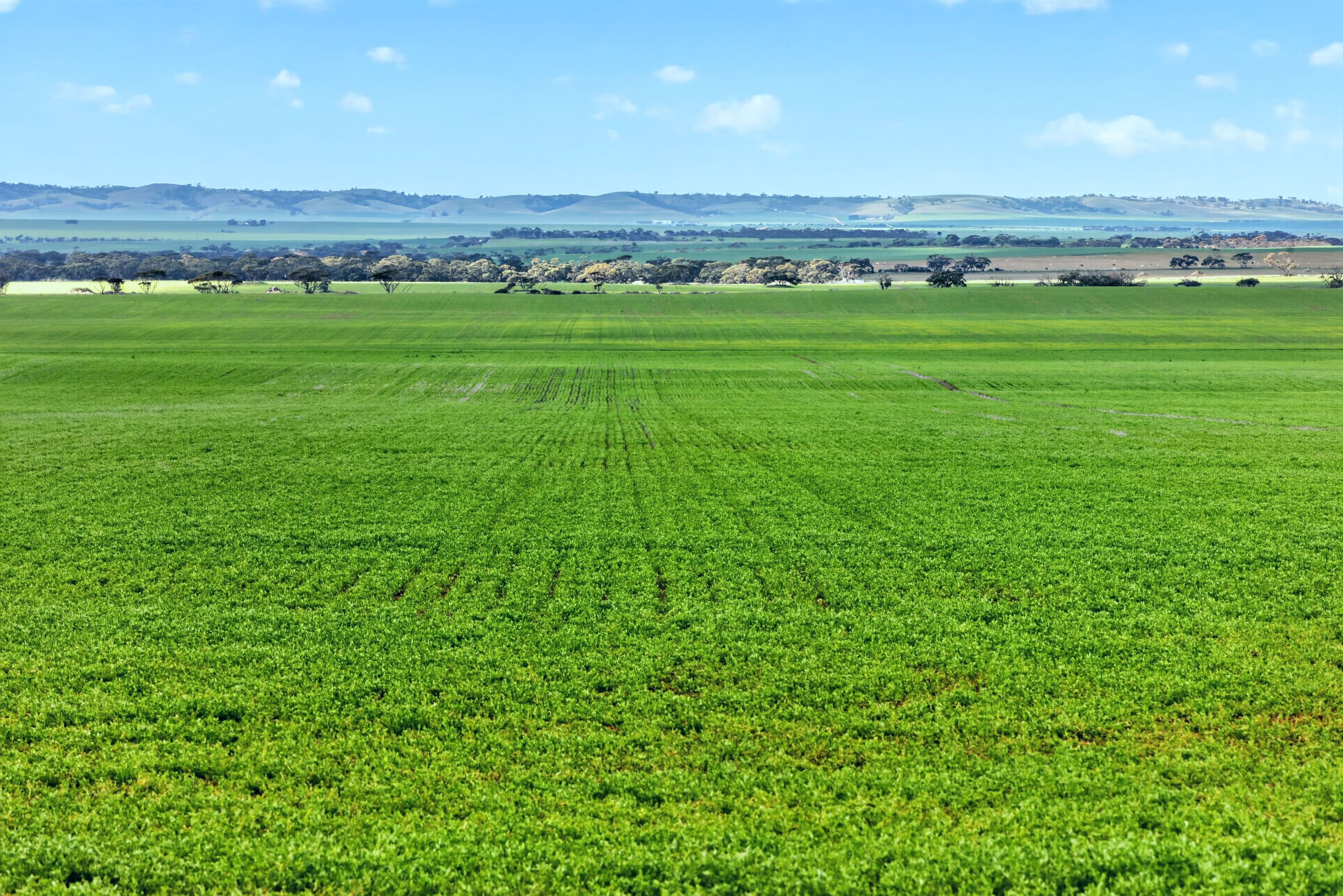 'Gleeson's Corner' Gleeson Road — photo from Ray White Rural South Australia