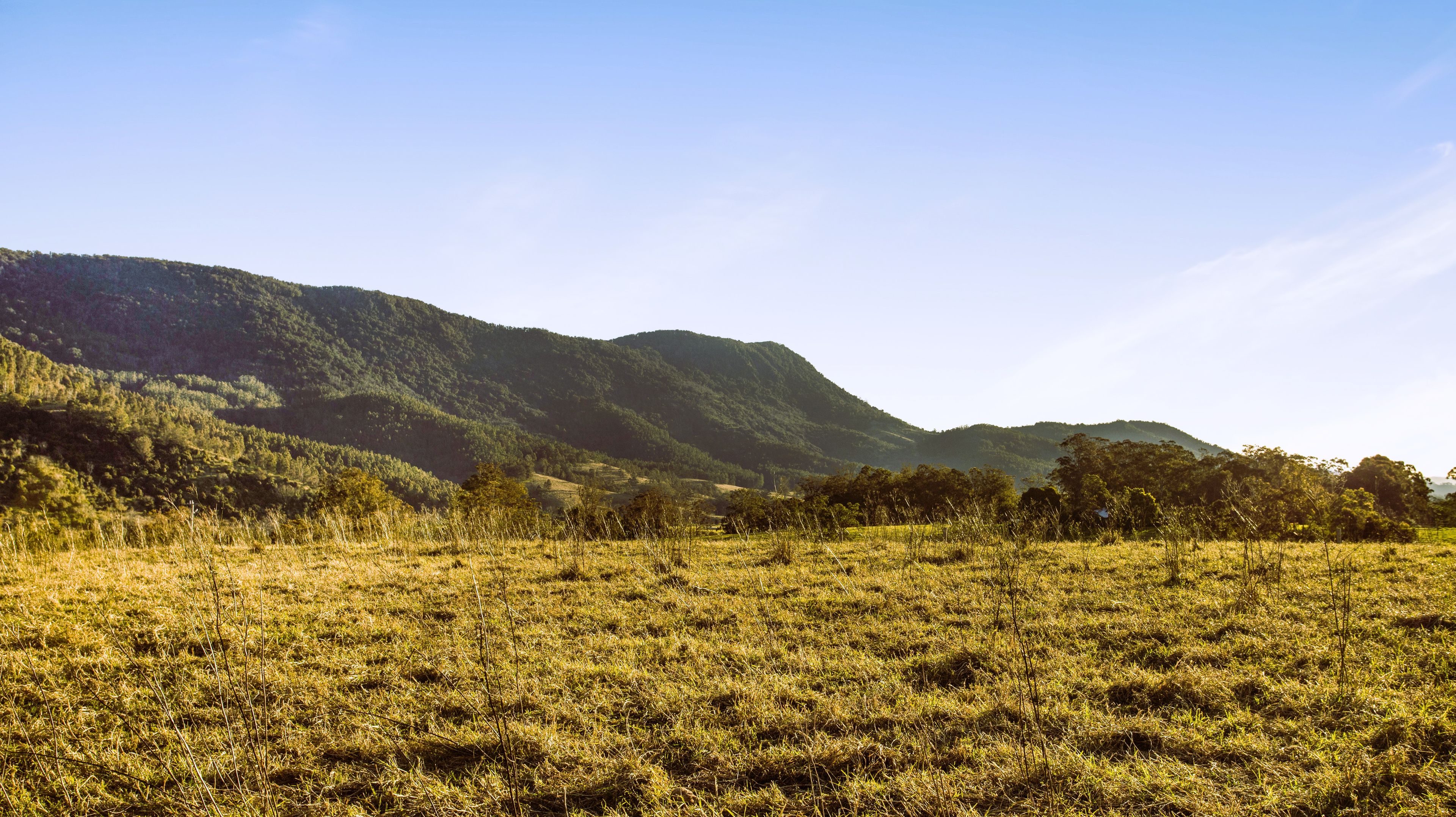 1187b Nowendoc Road, Mount NSW 2424 Rural Mixed Farming Property for Sale Ray White