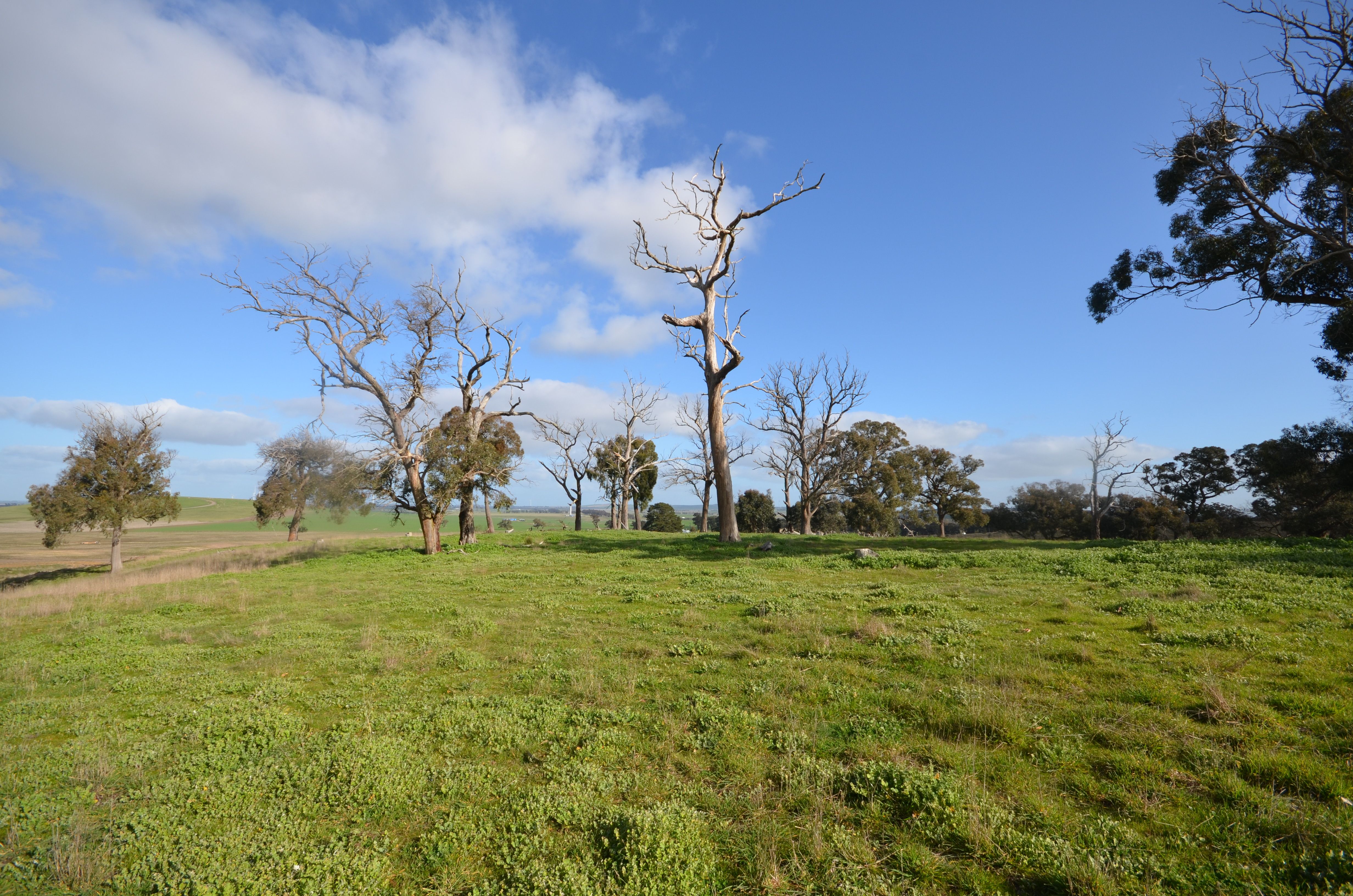 Lot 1 Ellis Road, Beaufort, VIC 3373
