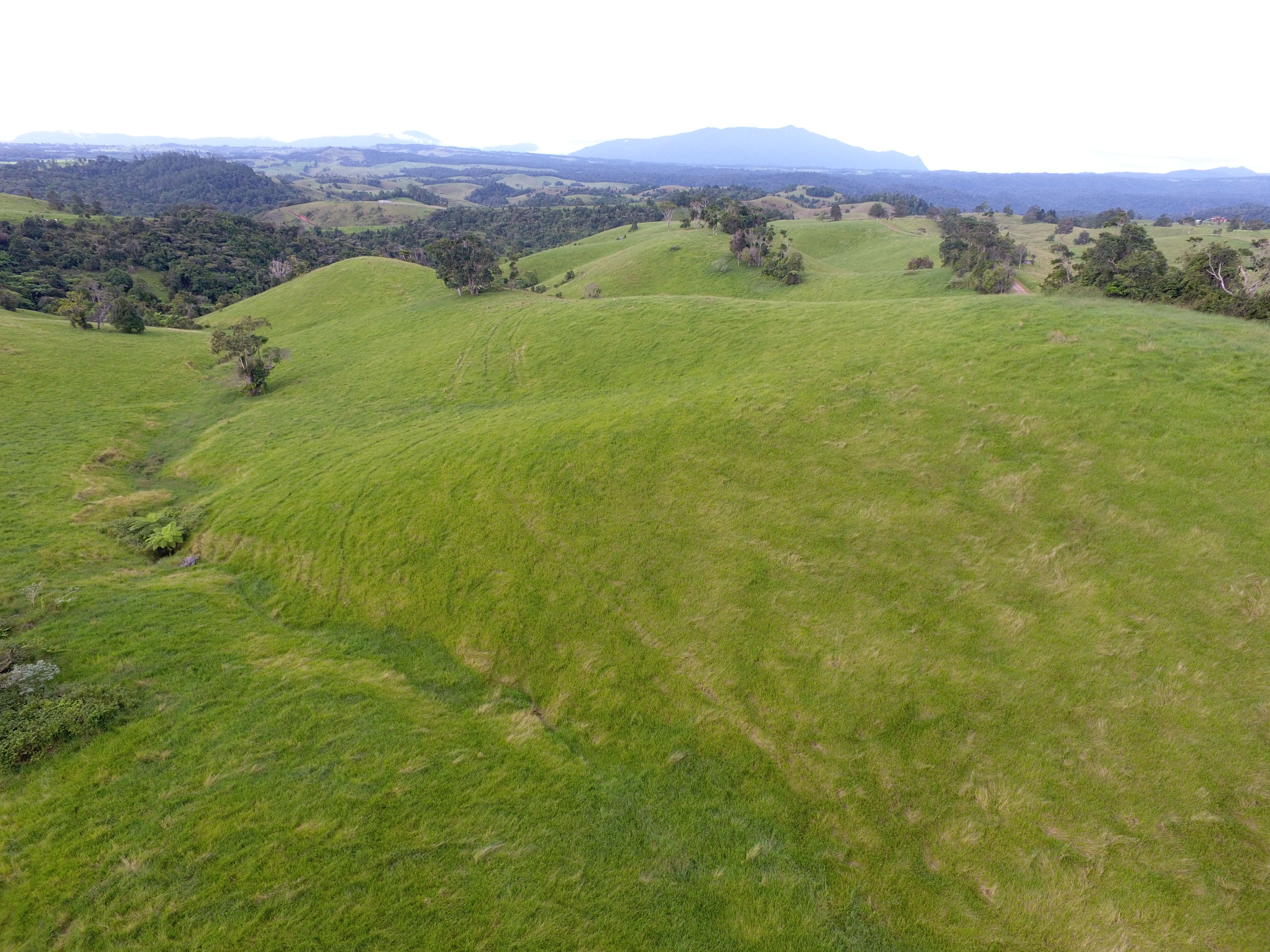 "Gilalli" - 306 Hitchconole Road, Tarzali, QLD 4885 - Sold 