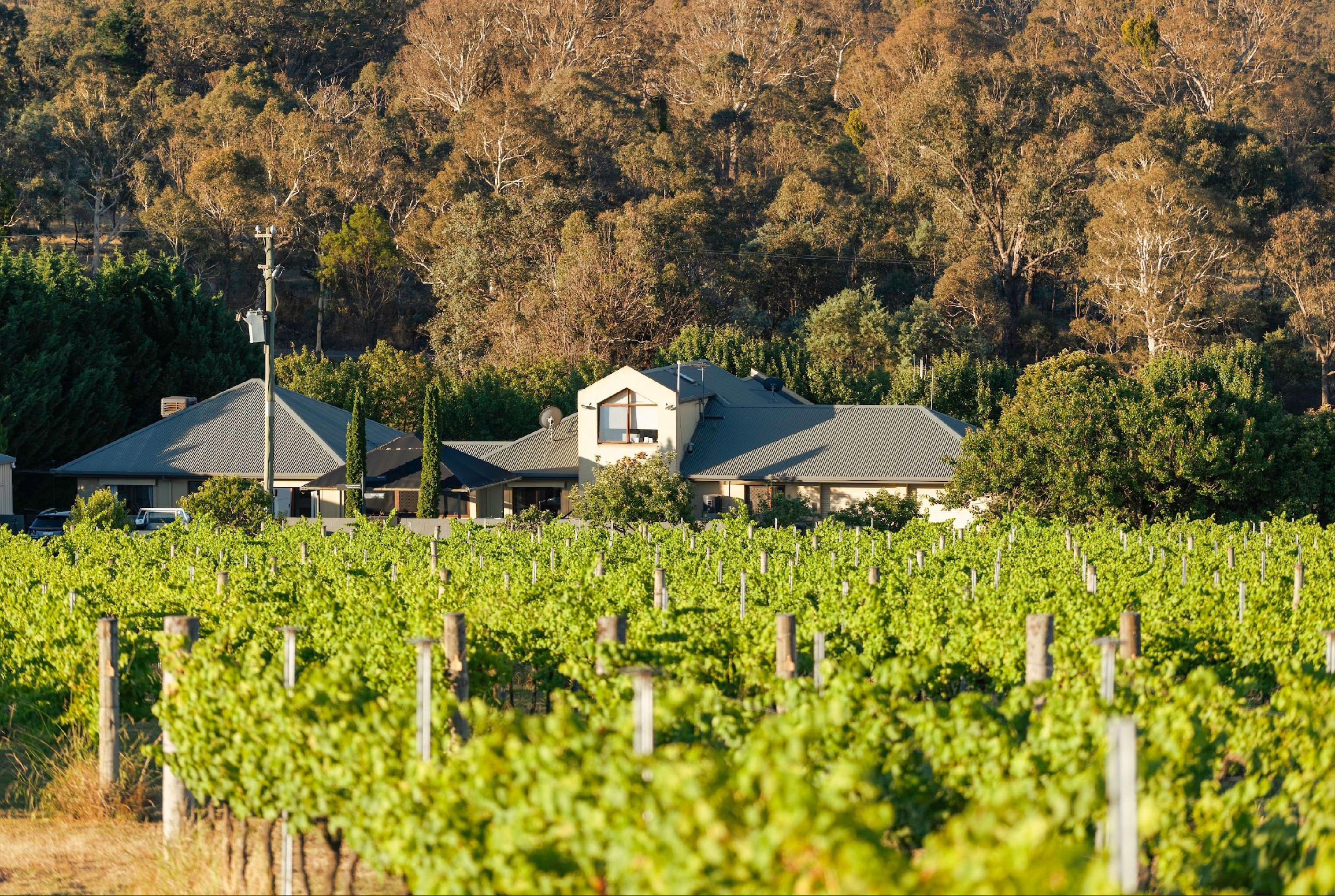 1692 Murrumbateman Road, Gundaroo, NSW 2620