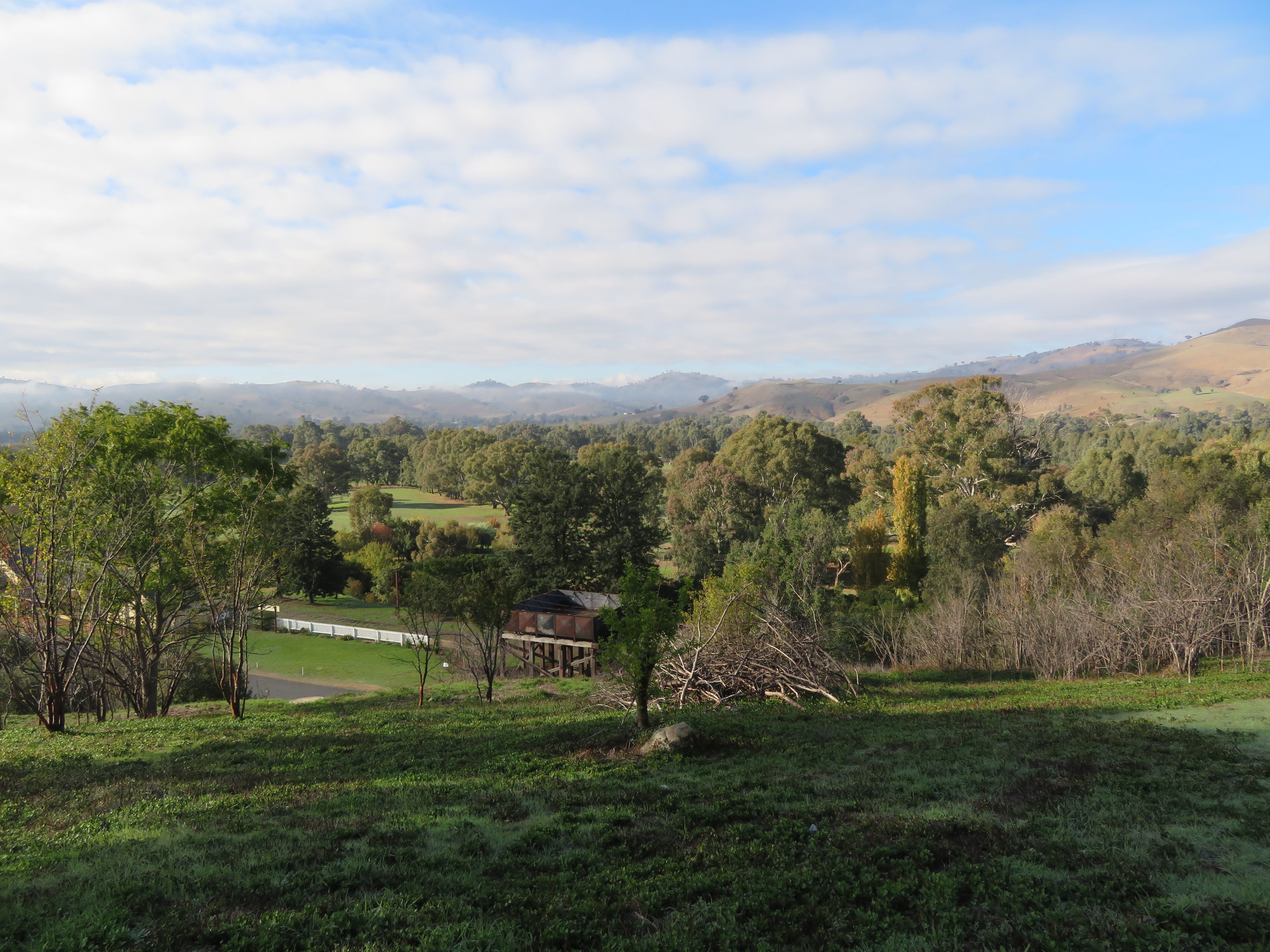 40 Punch Street, Gundagai, NSW 2722