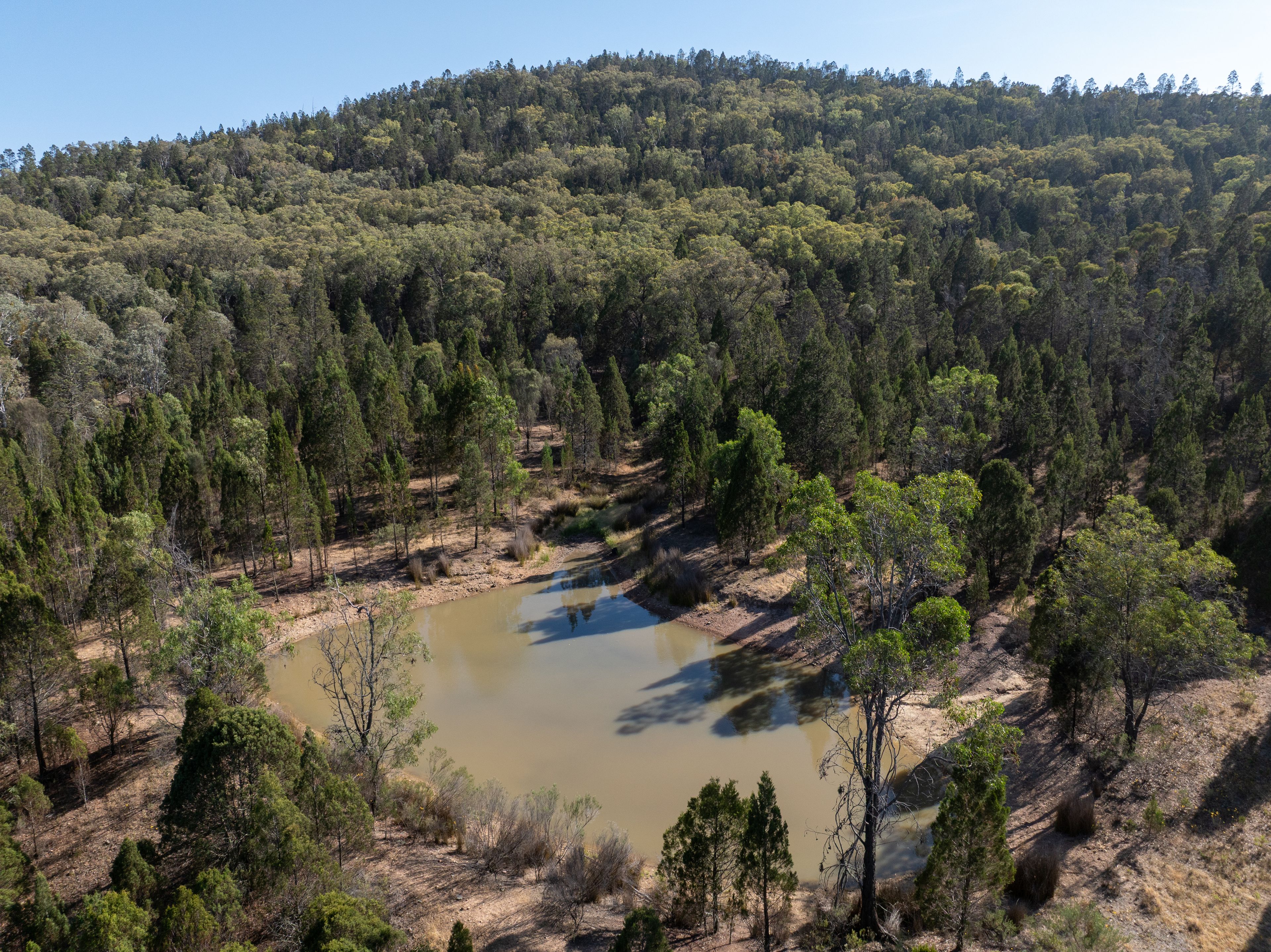 35 Rosamel Lane, Manildra, NSW 2865