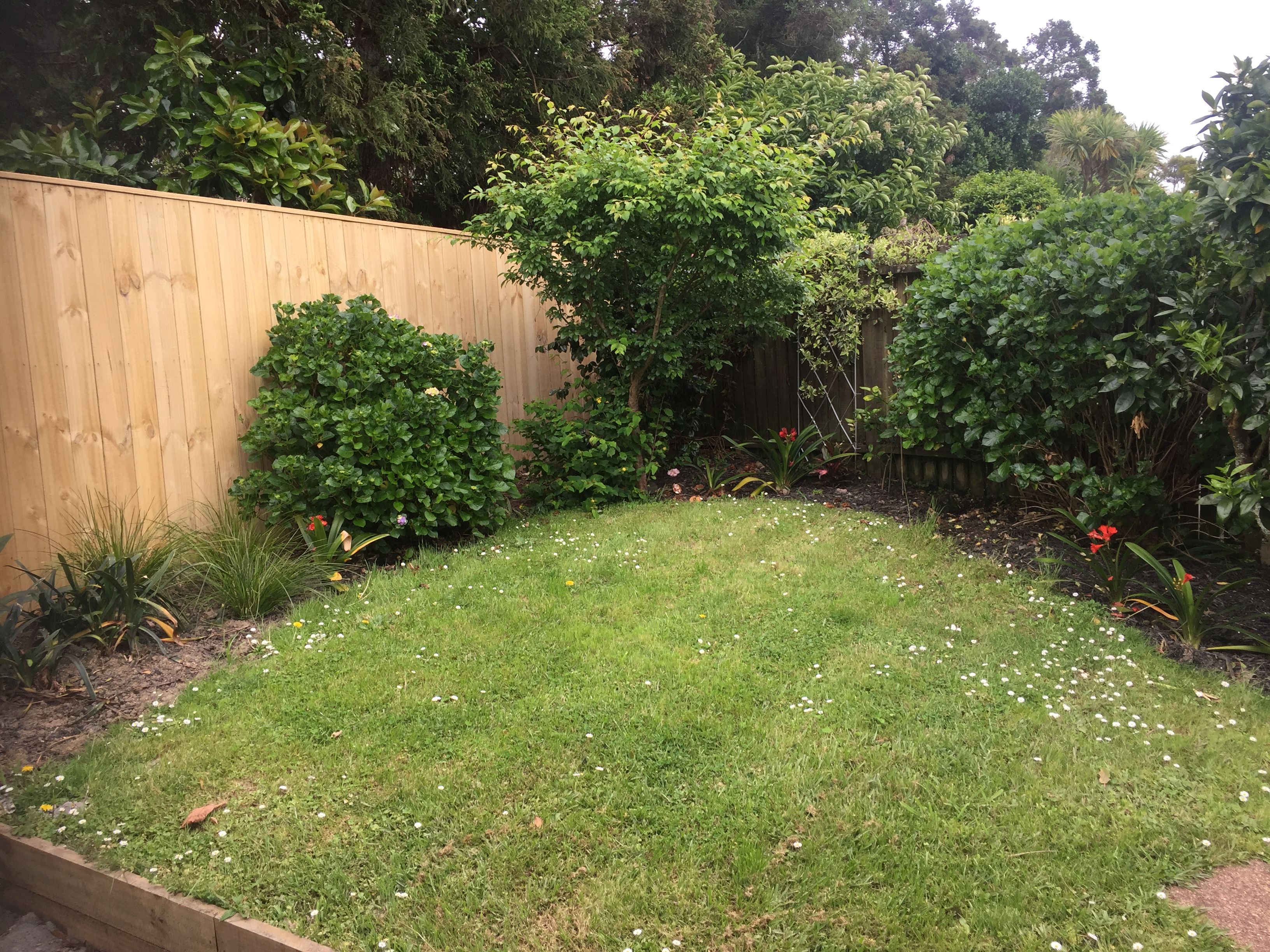 3 Parsons Road, Meadowbank, Auckland City