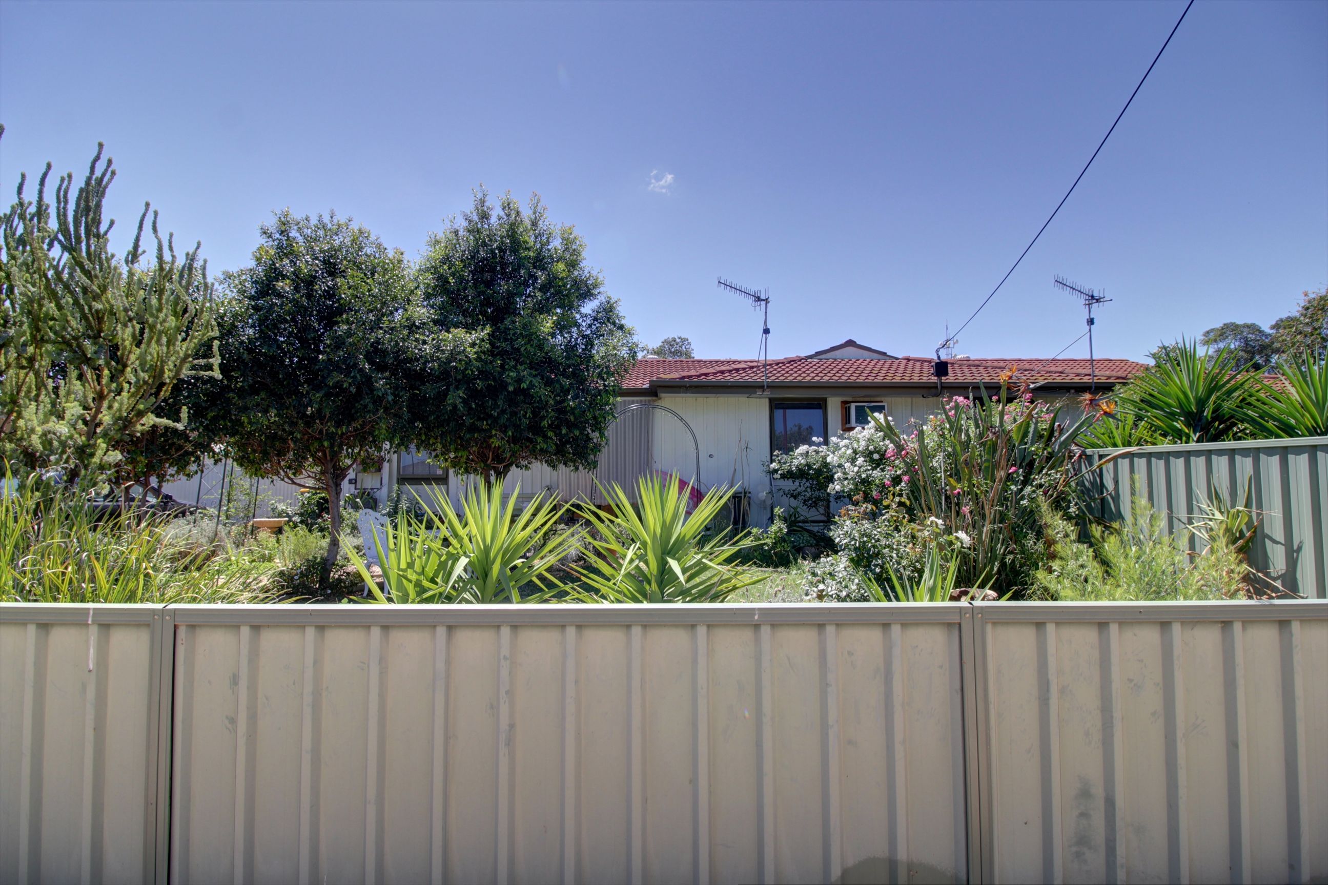 10 Belah Street, Renmark, SA 5341