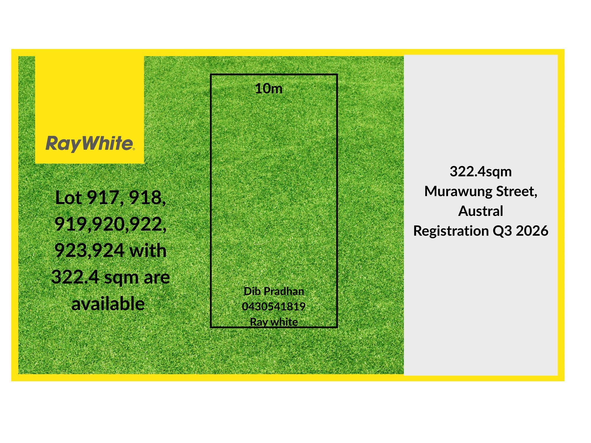 215 Eleventh Avenue (murawung street), Austral NSW 2179