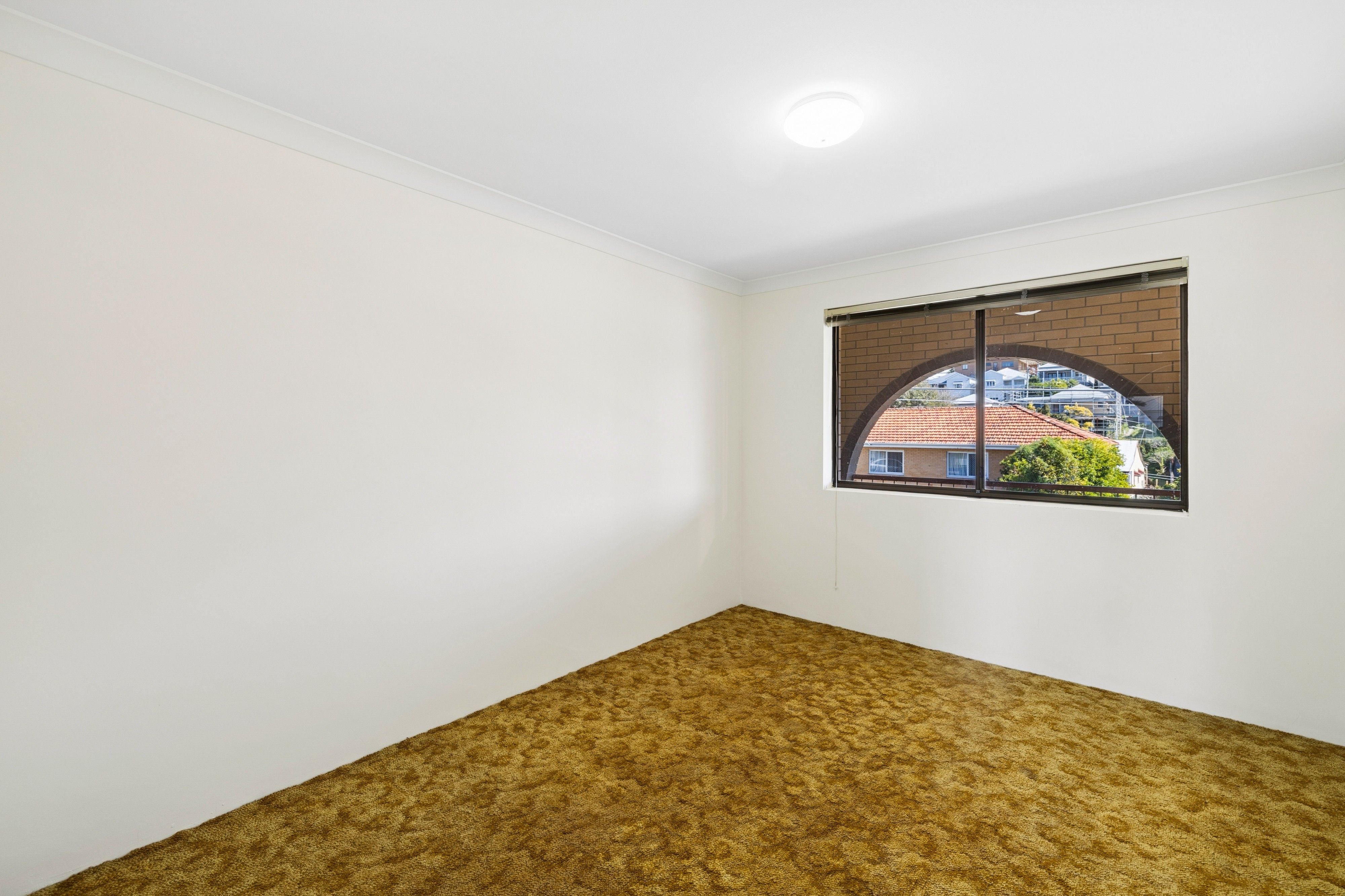 23 Woolcock Street — photo 10 of 20