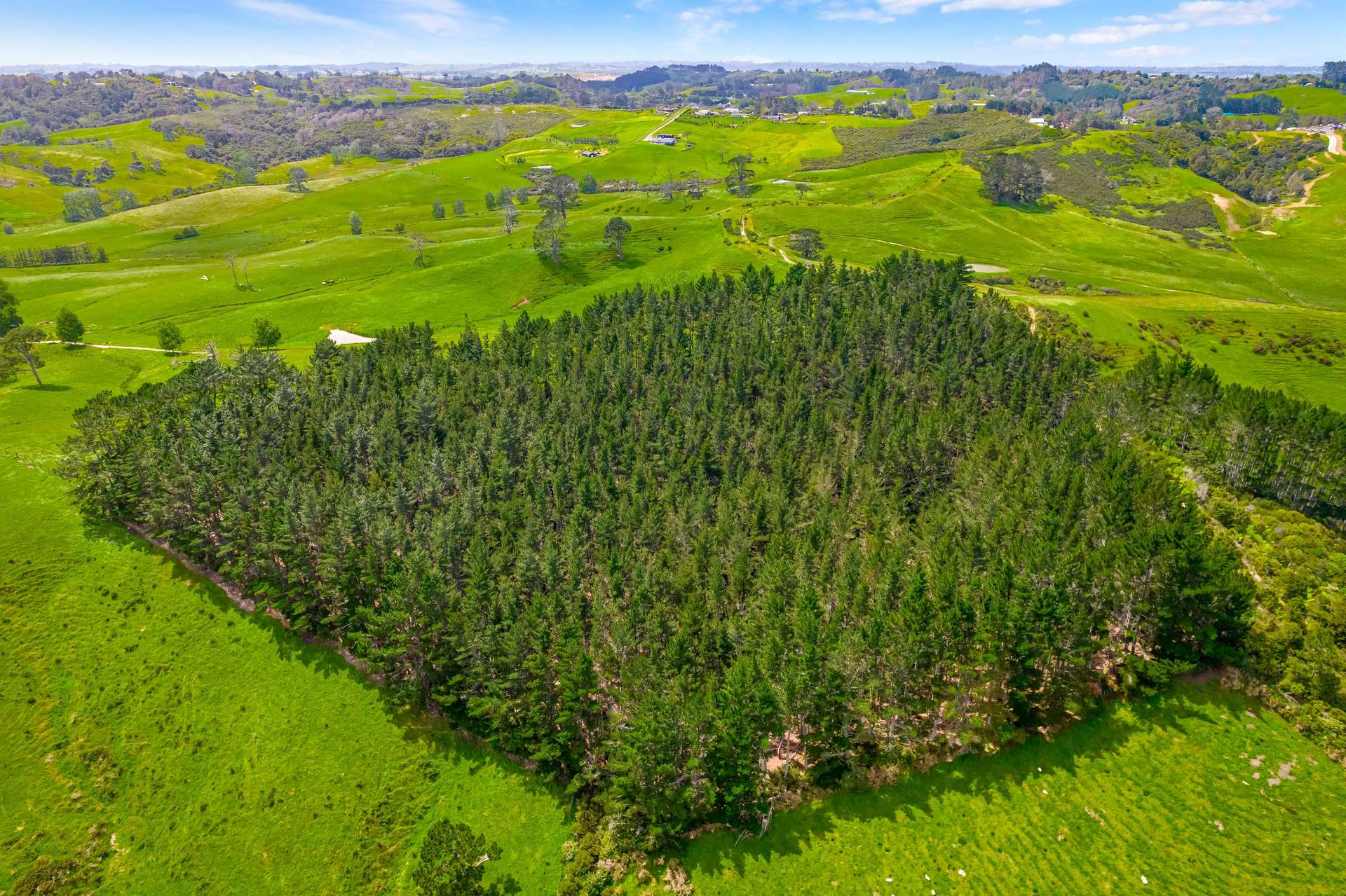 515 Kahikatea Flat Road photo 9