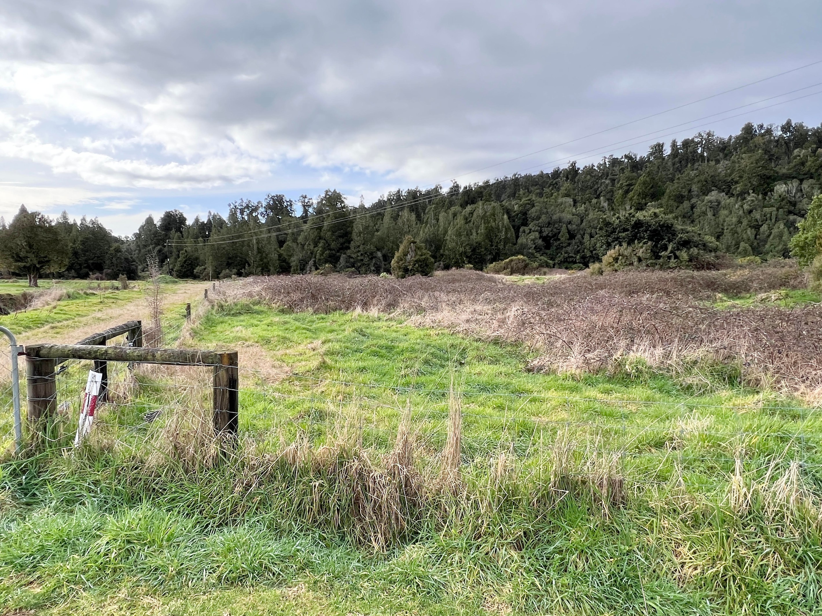 0 State Highway 6 Tatare, Franz Josef, Westland District