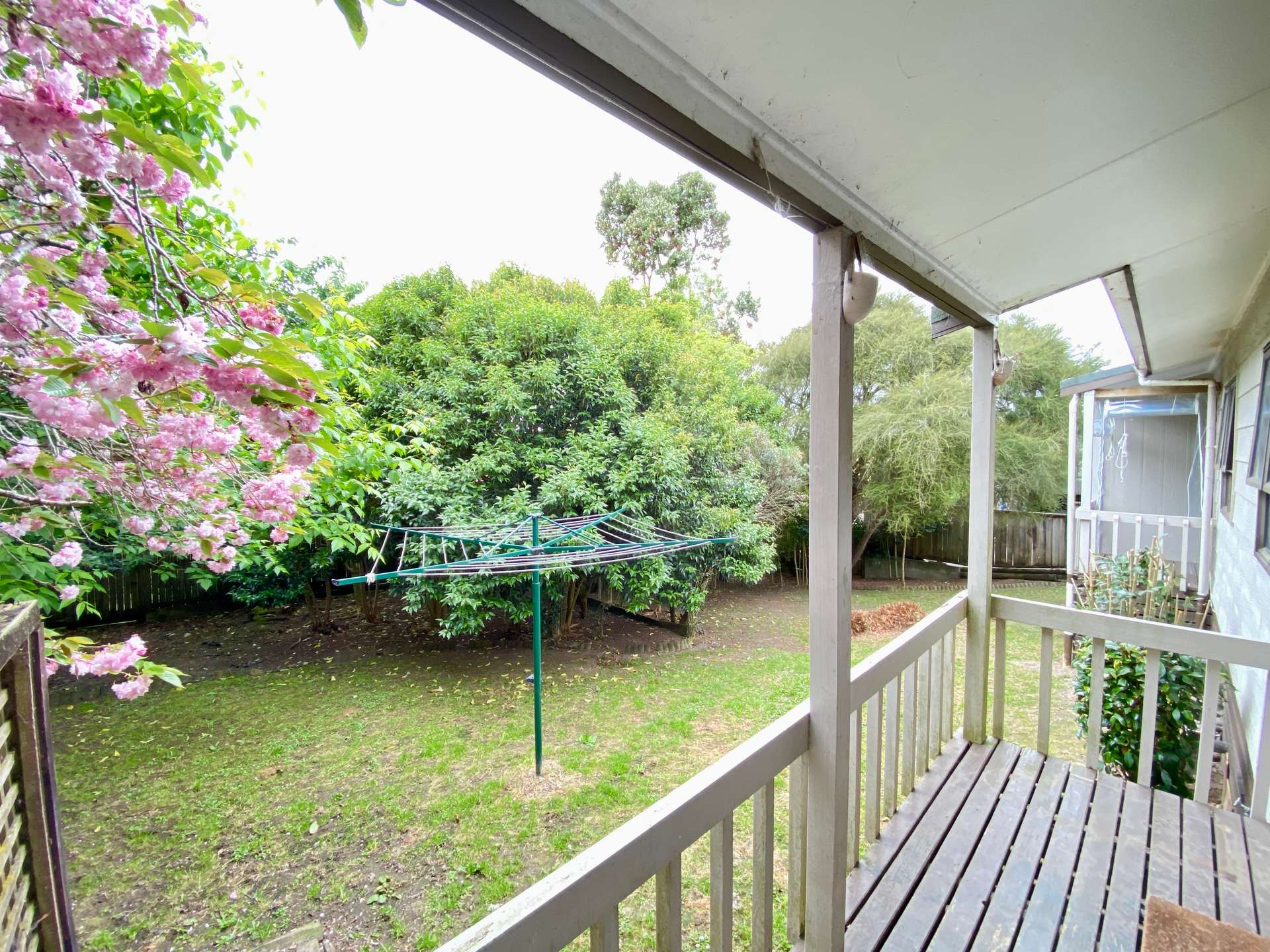 80 Totara Drive photo 6