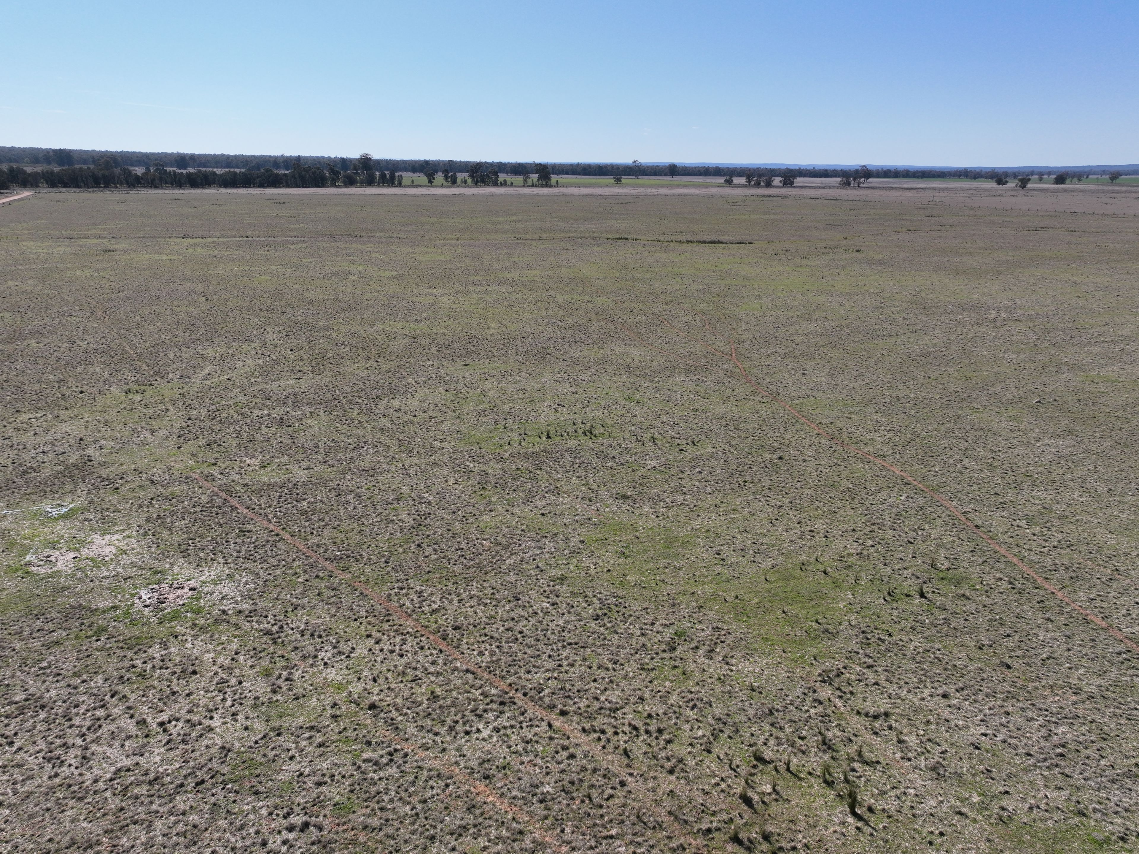 'West Tarrawonga' 56 Donnelly Road, EUMUNGERIE, NSW 2822 Rural Mixed