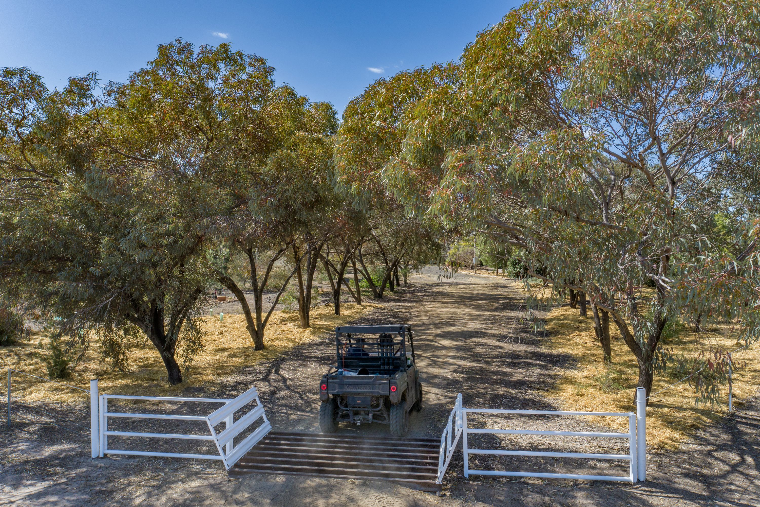 498 Strangford Road, Croppa Creek, NSW 2411 Sold Rural Cropping