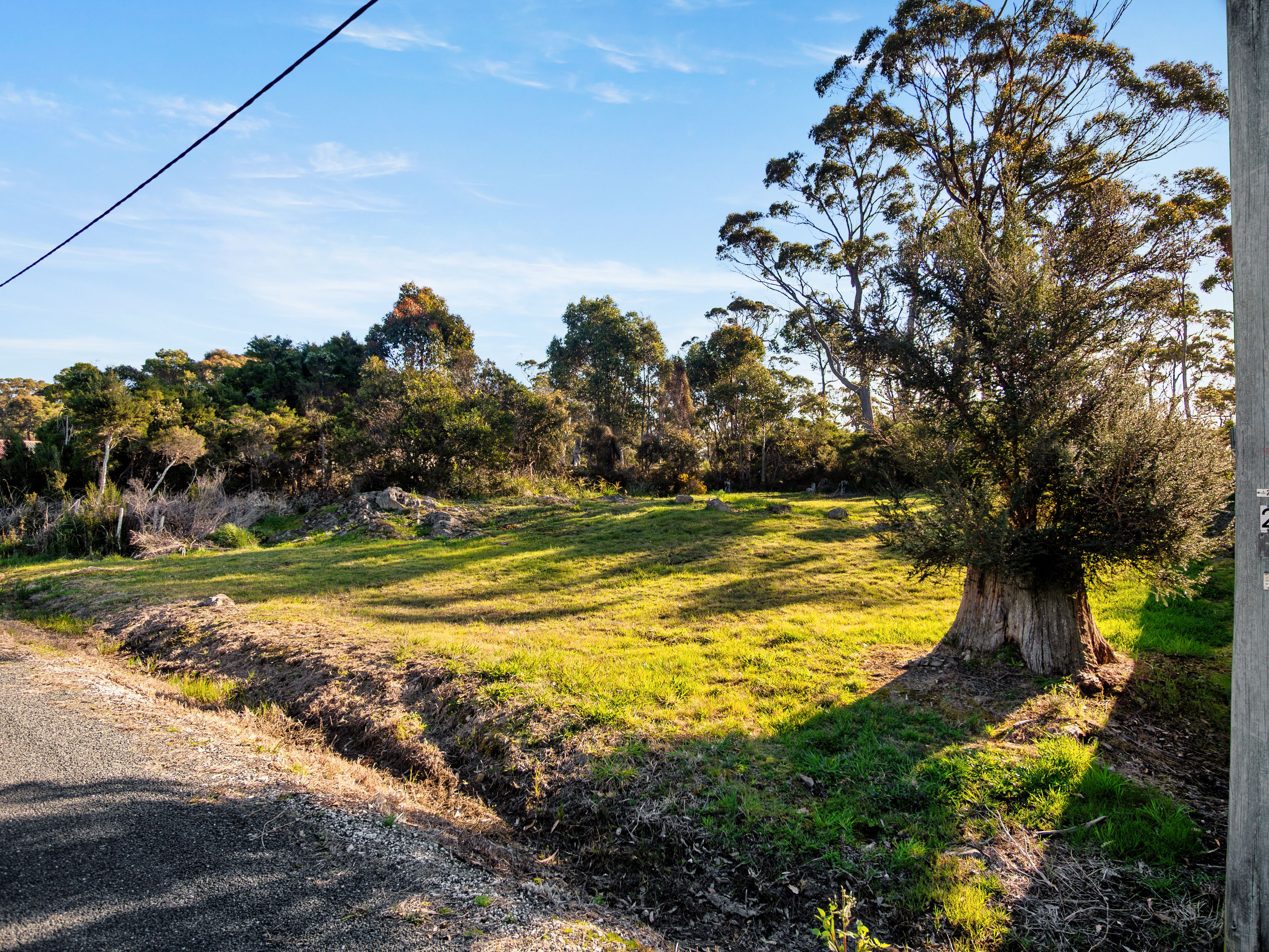 23 Melaleuca Drive — photo 9 of 14