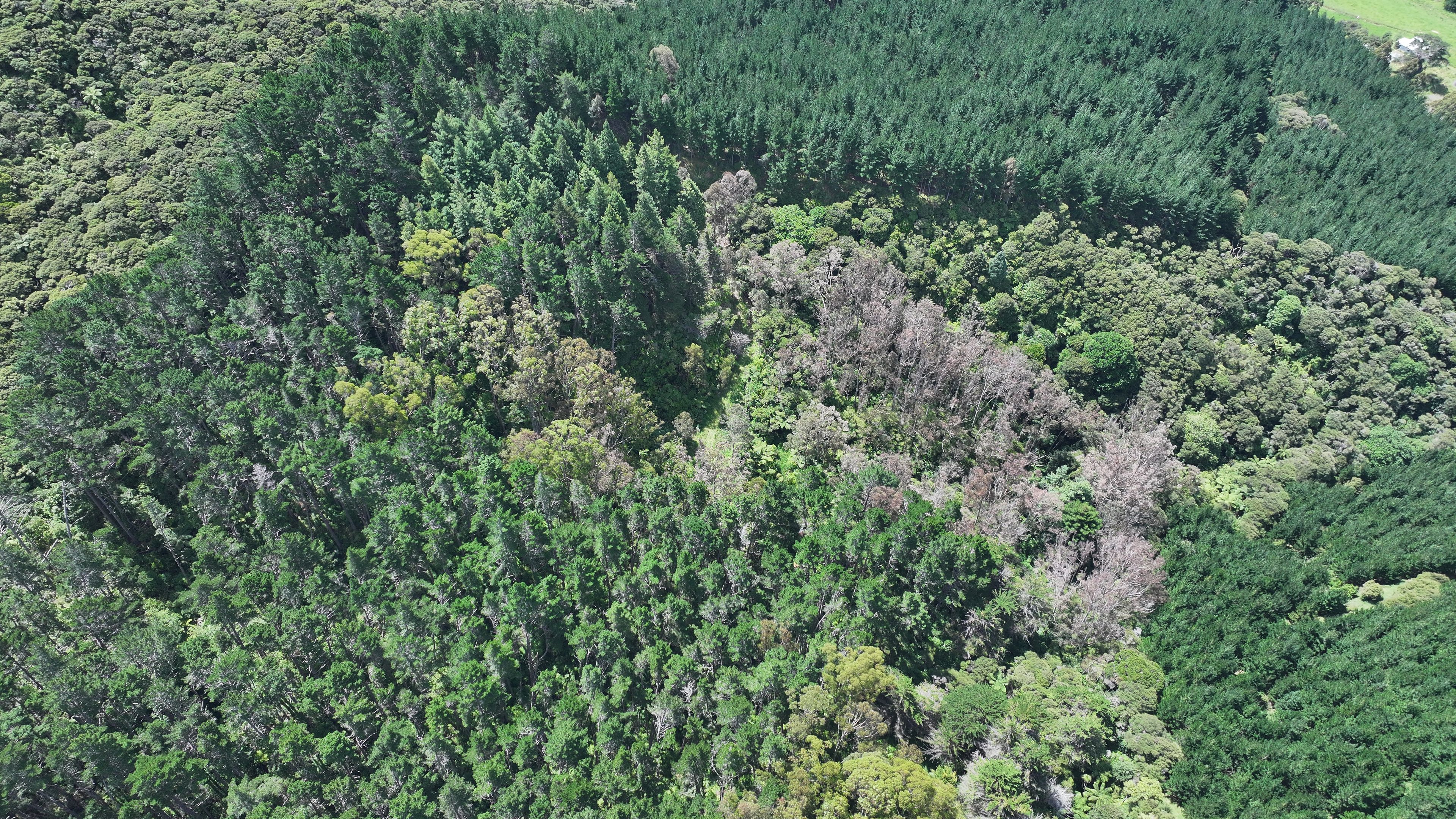 0 Puhata Road, Herekino, Far North District