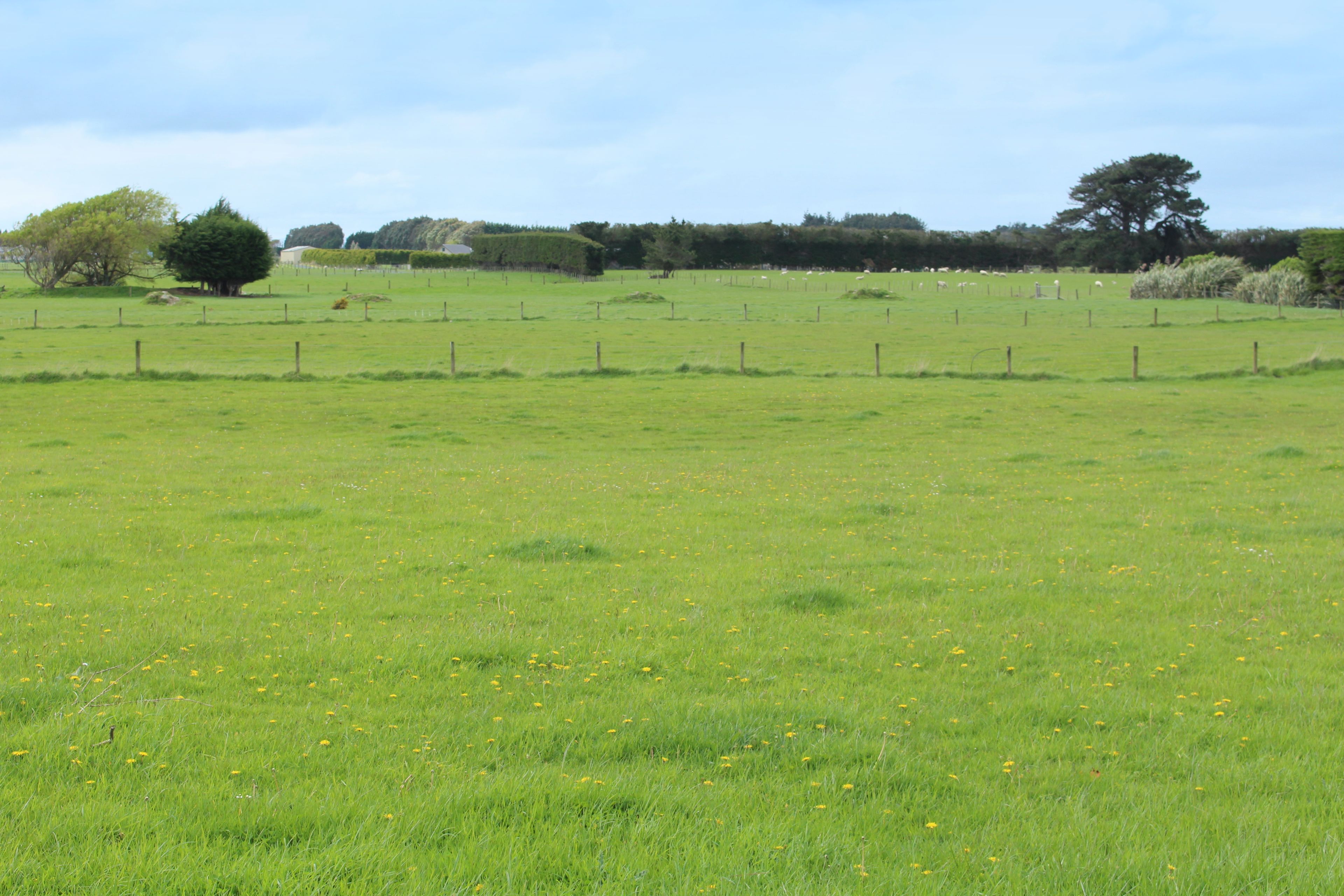 15 Gardiner Road, Kennington, Invercargill