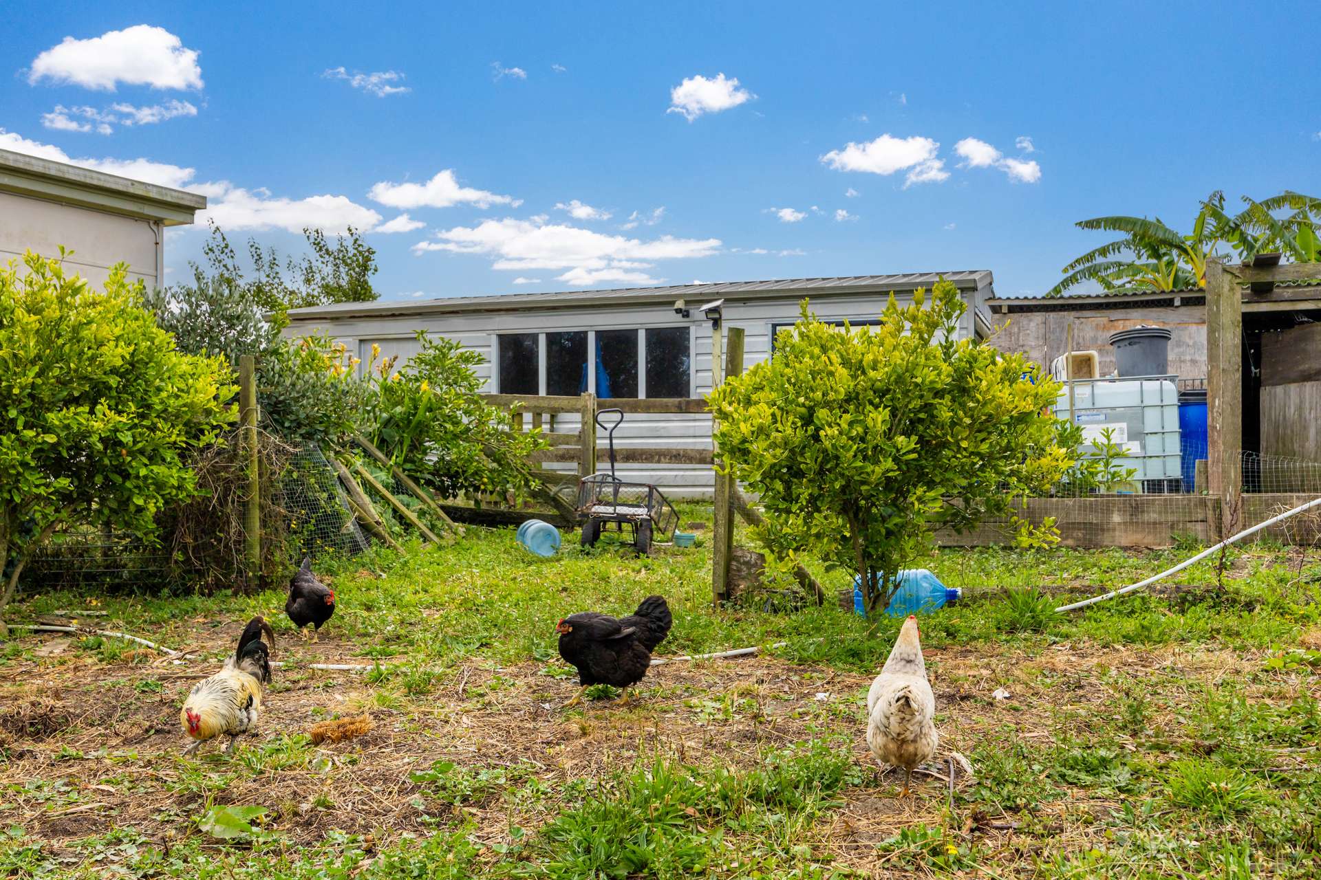 648 West Coast Road photo 20