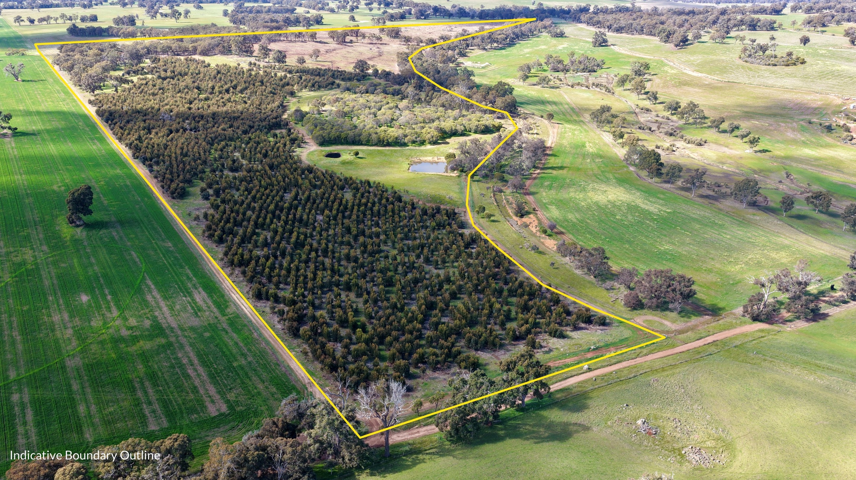 Lot 100 Area Road, Dinninup, WA 6244