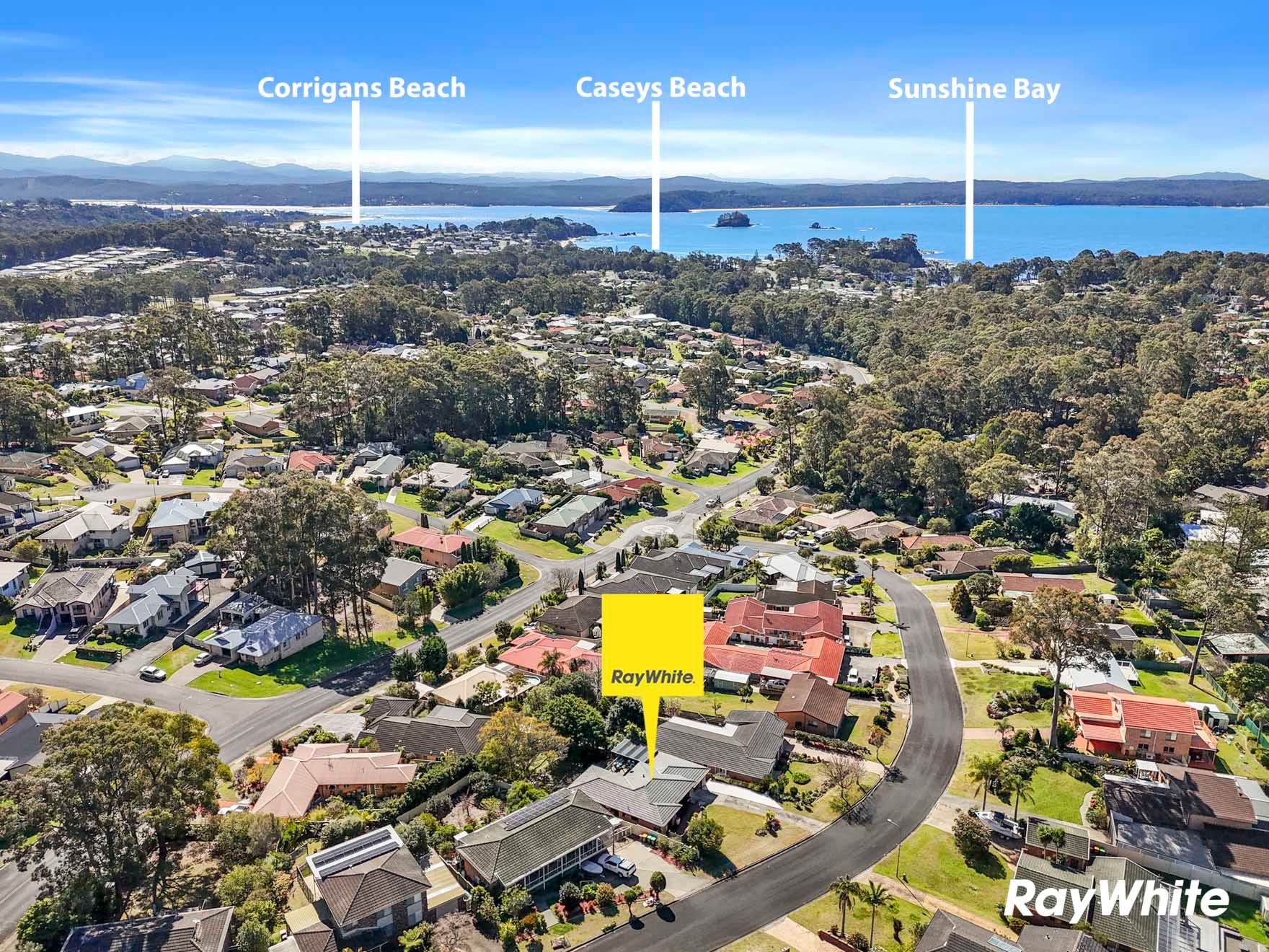 8 Wills Crescent — photo 29 of 30