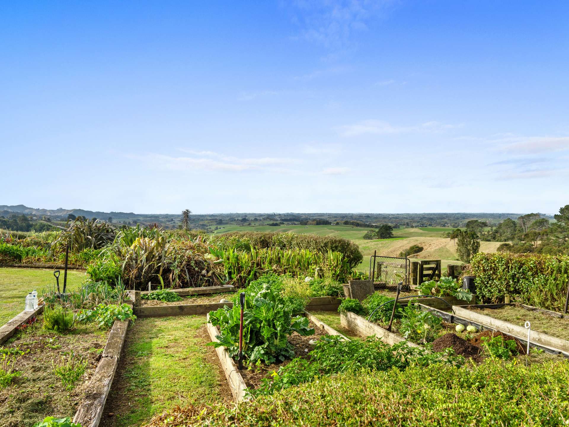 163 Arthur Road photo 24