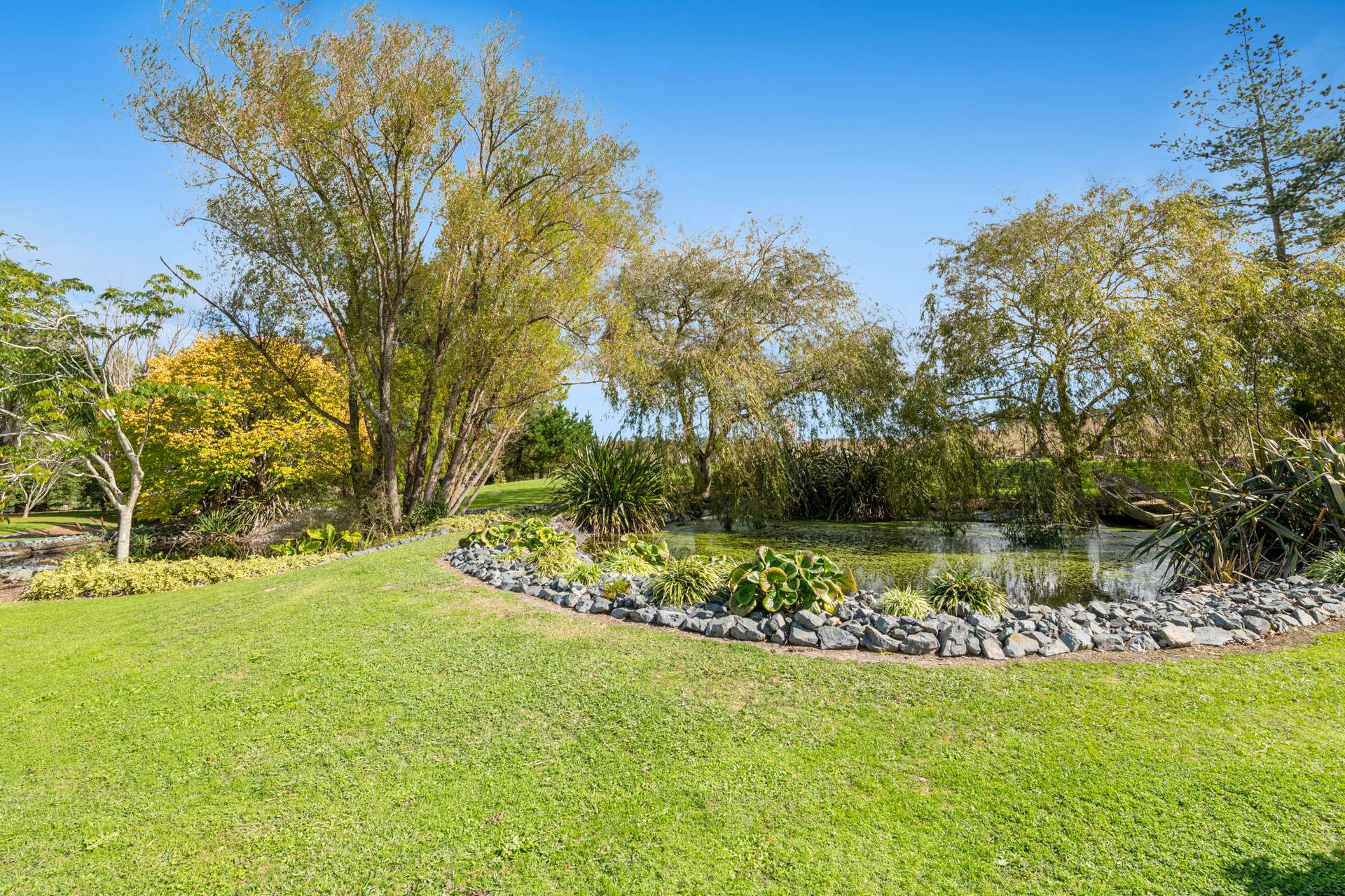 636 Kahikatea Flat Road photo 77