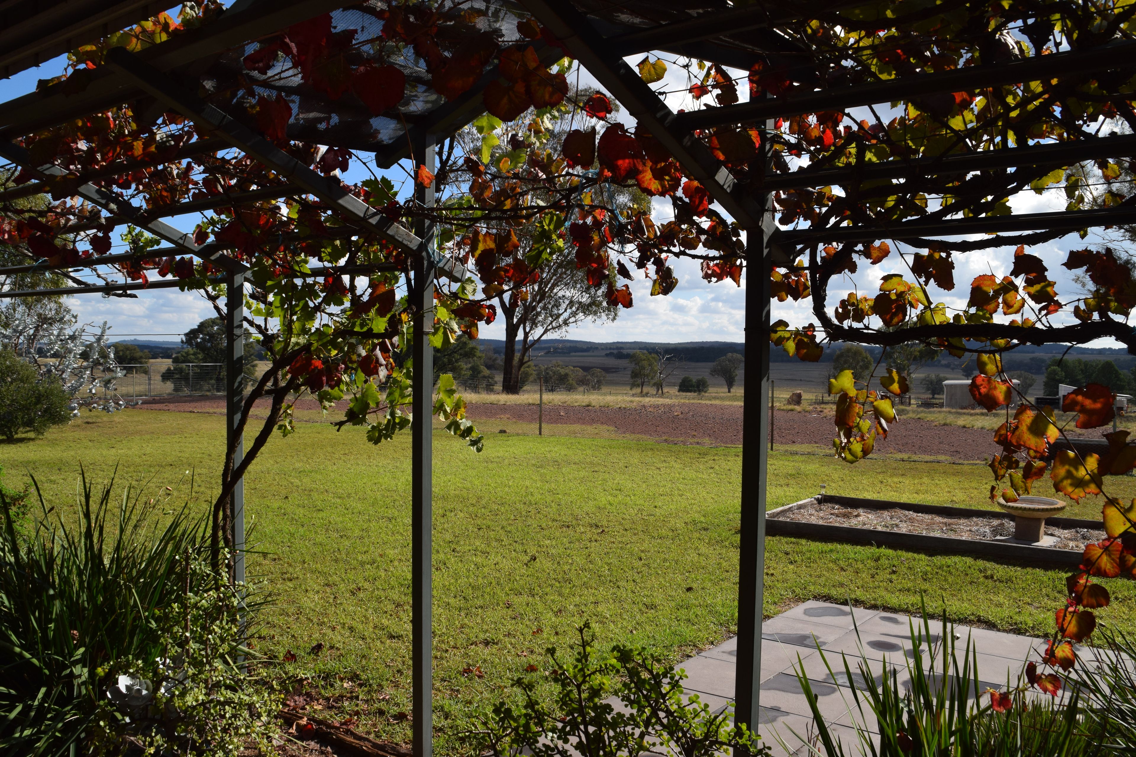 'Stampede' 200R Obley Road, Dubbo, NSW 2830