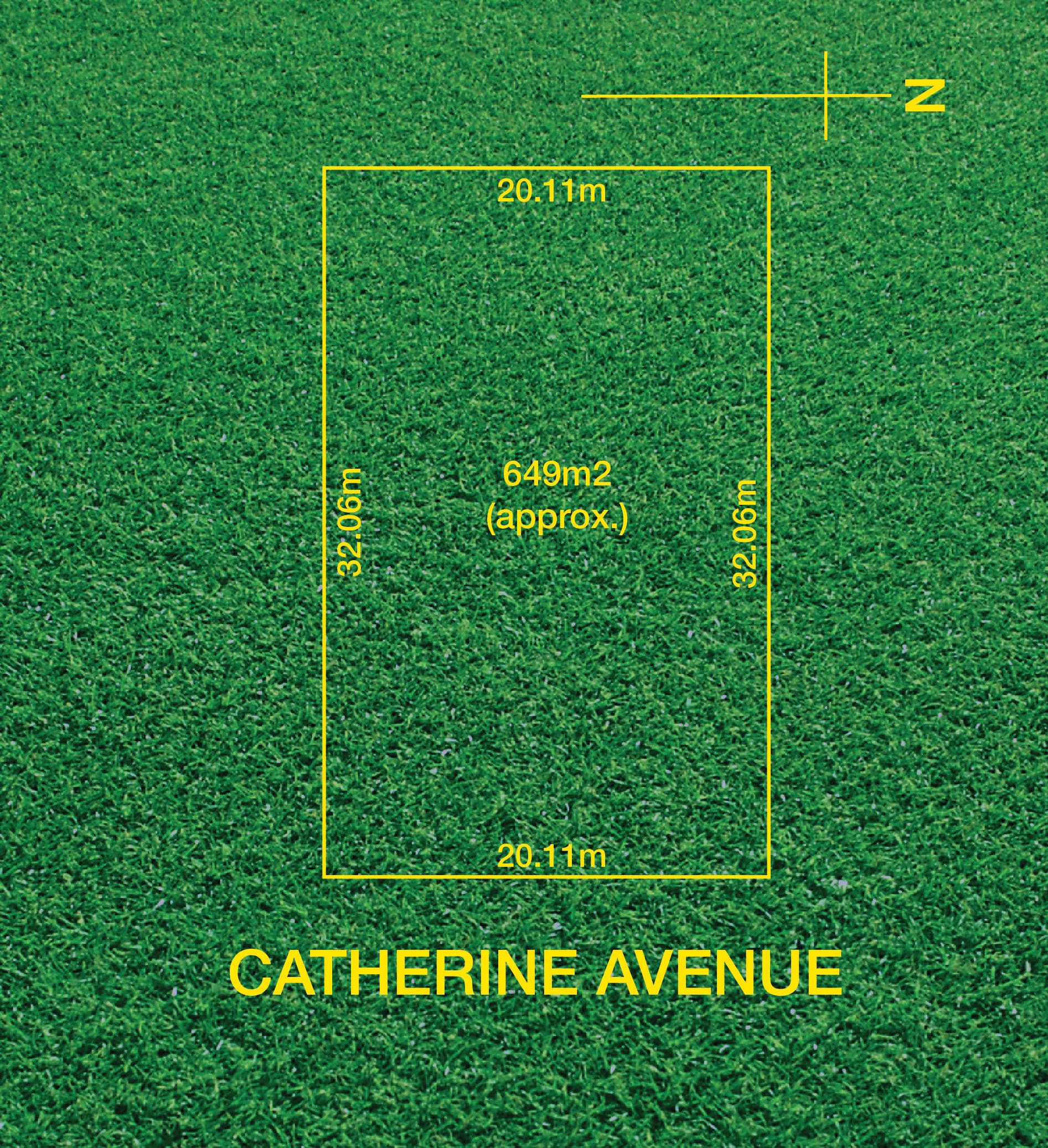 12 Catherine Avenue, Flinders Park, SA 5025