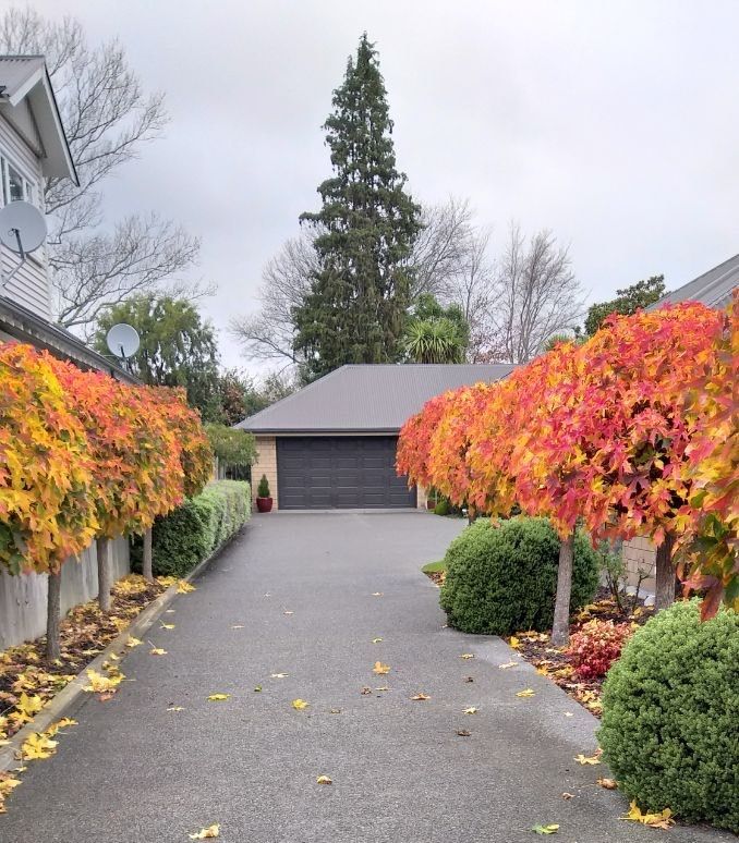 18A Plynlimon Road, Fendalton, Christchurch City