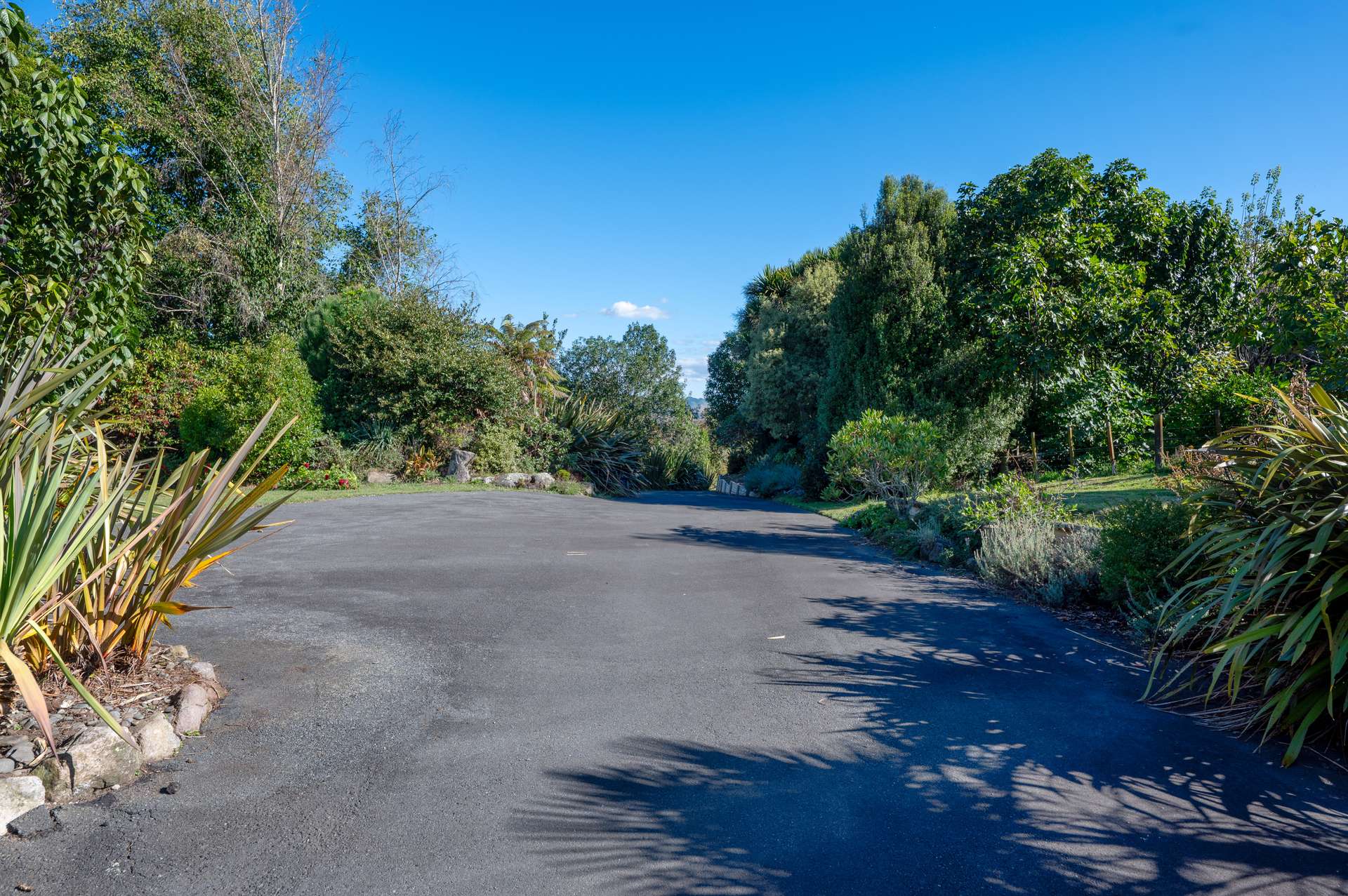 26 Atkins Lane photo 37