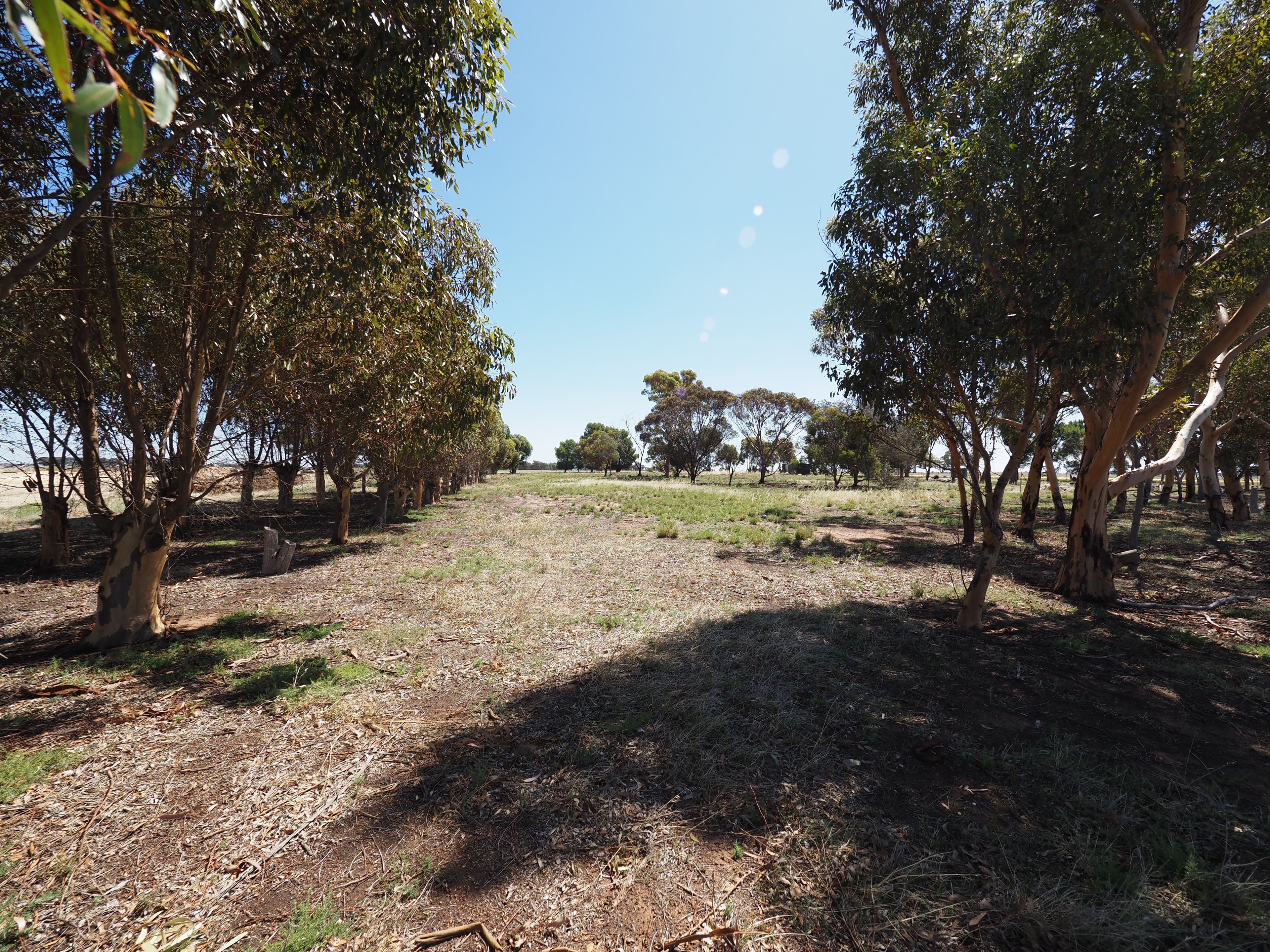 Banyena, VIC 3388