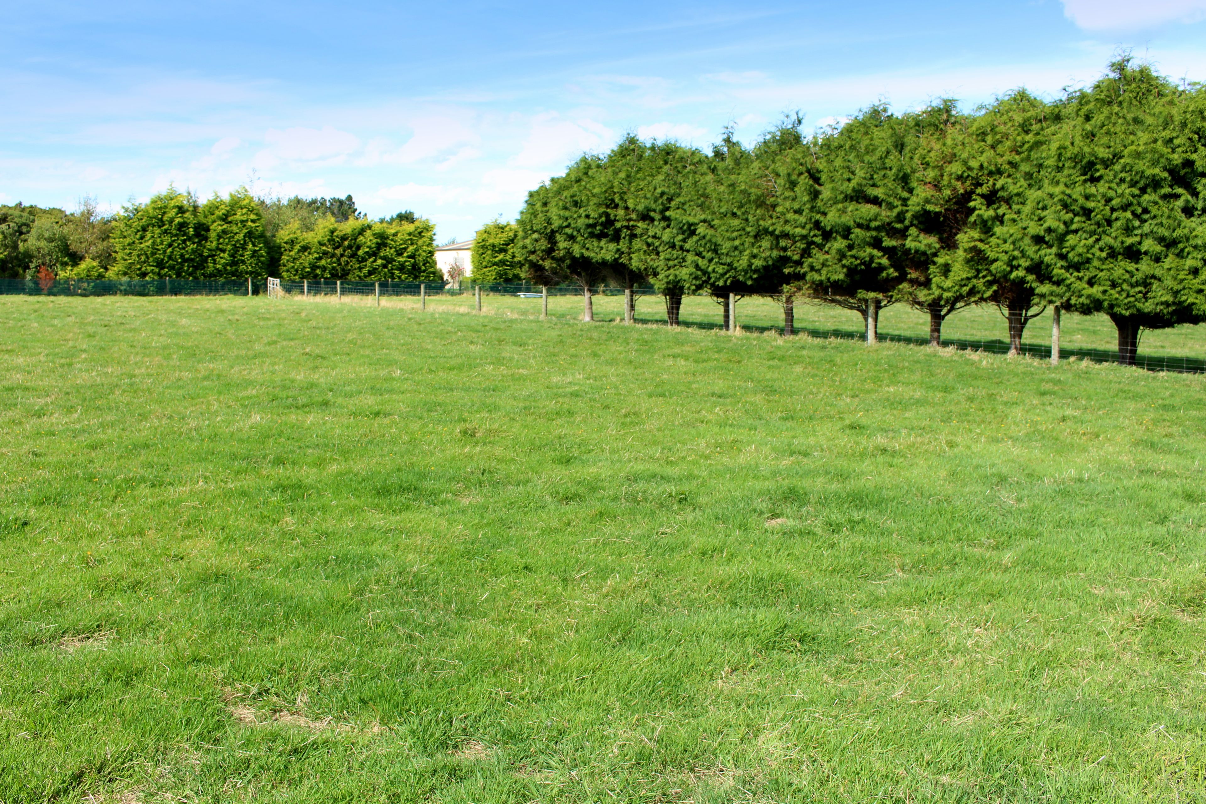 278 Oreti Road, Otatara, Invercargill