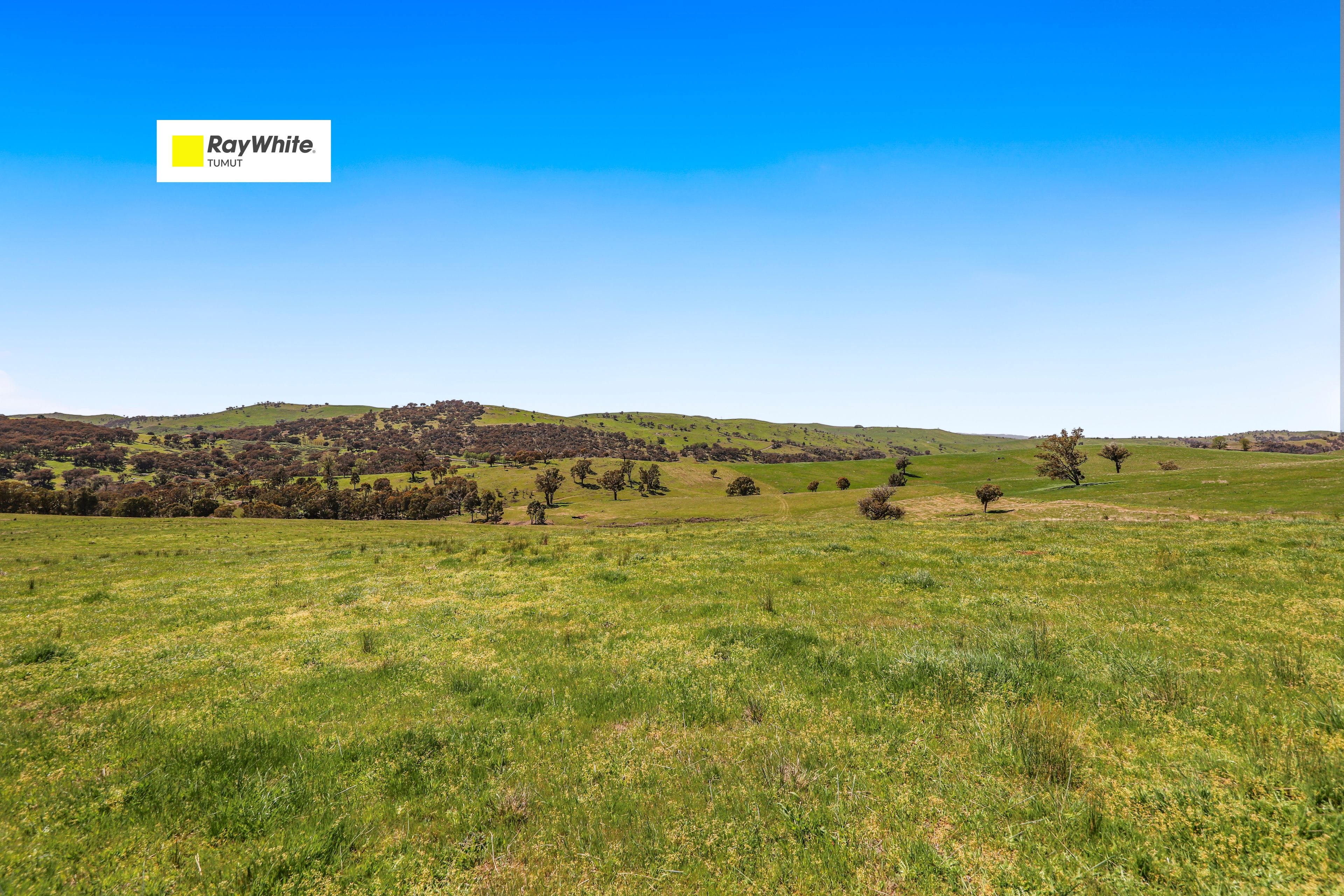 1260 Wondalga Road , Adelong NSW 2729