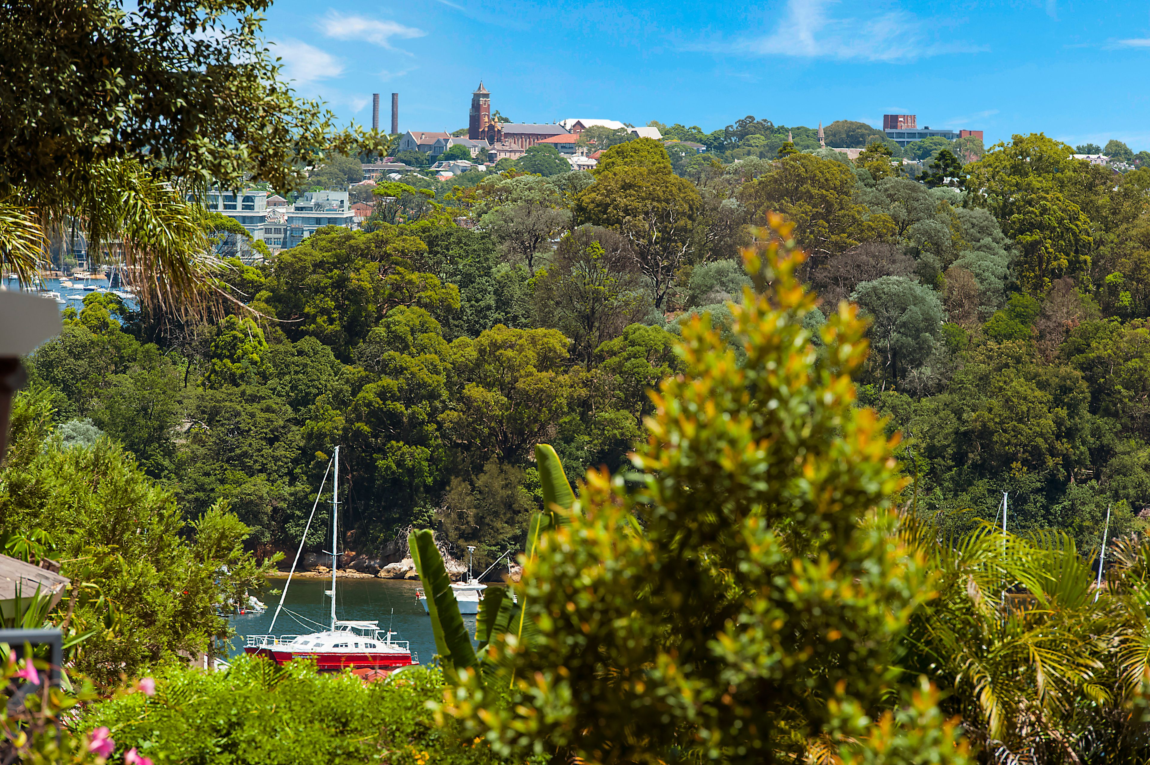 48 Thomas Street, McMahons Point, NSW 2060 House for Rent Ray White