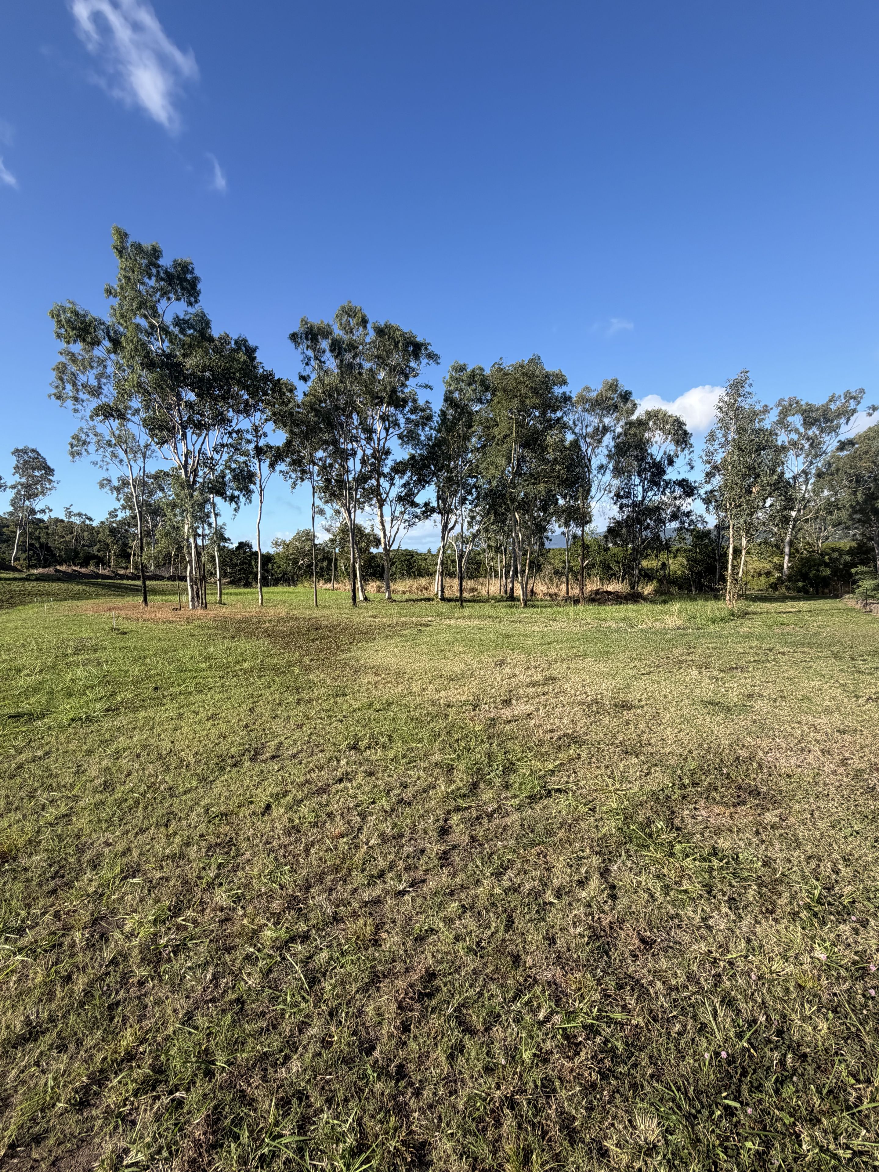 Lot 36 Woodwark Rise — photo 3 of 7