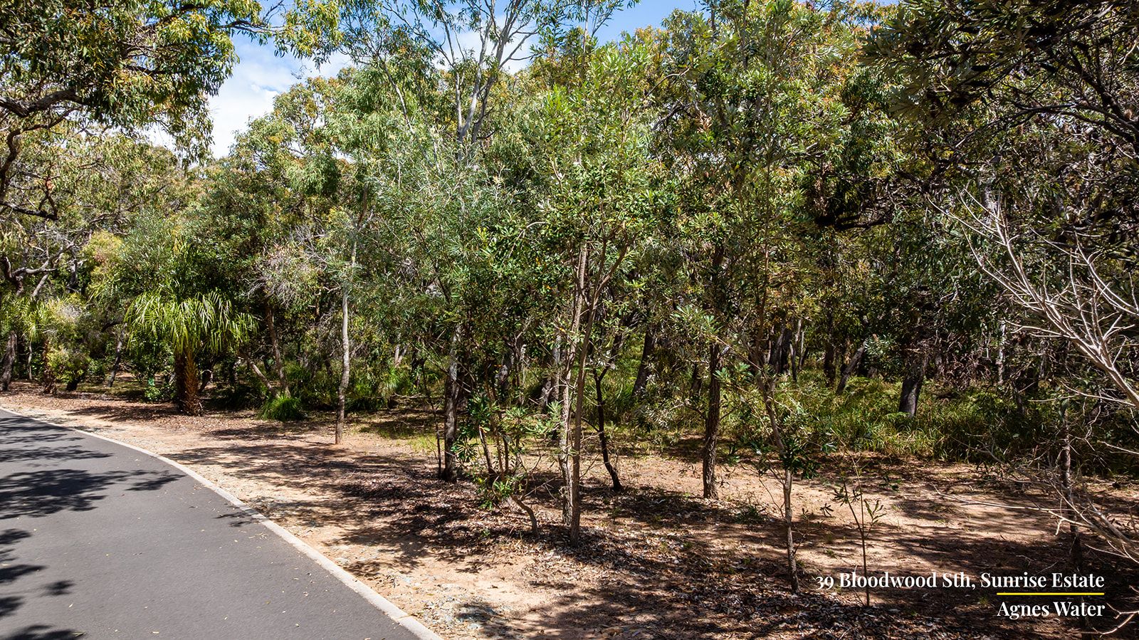 39 Bloodwood Avenue South — photo 7 of 12