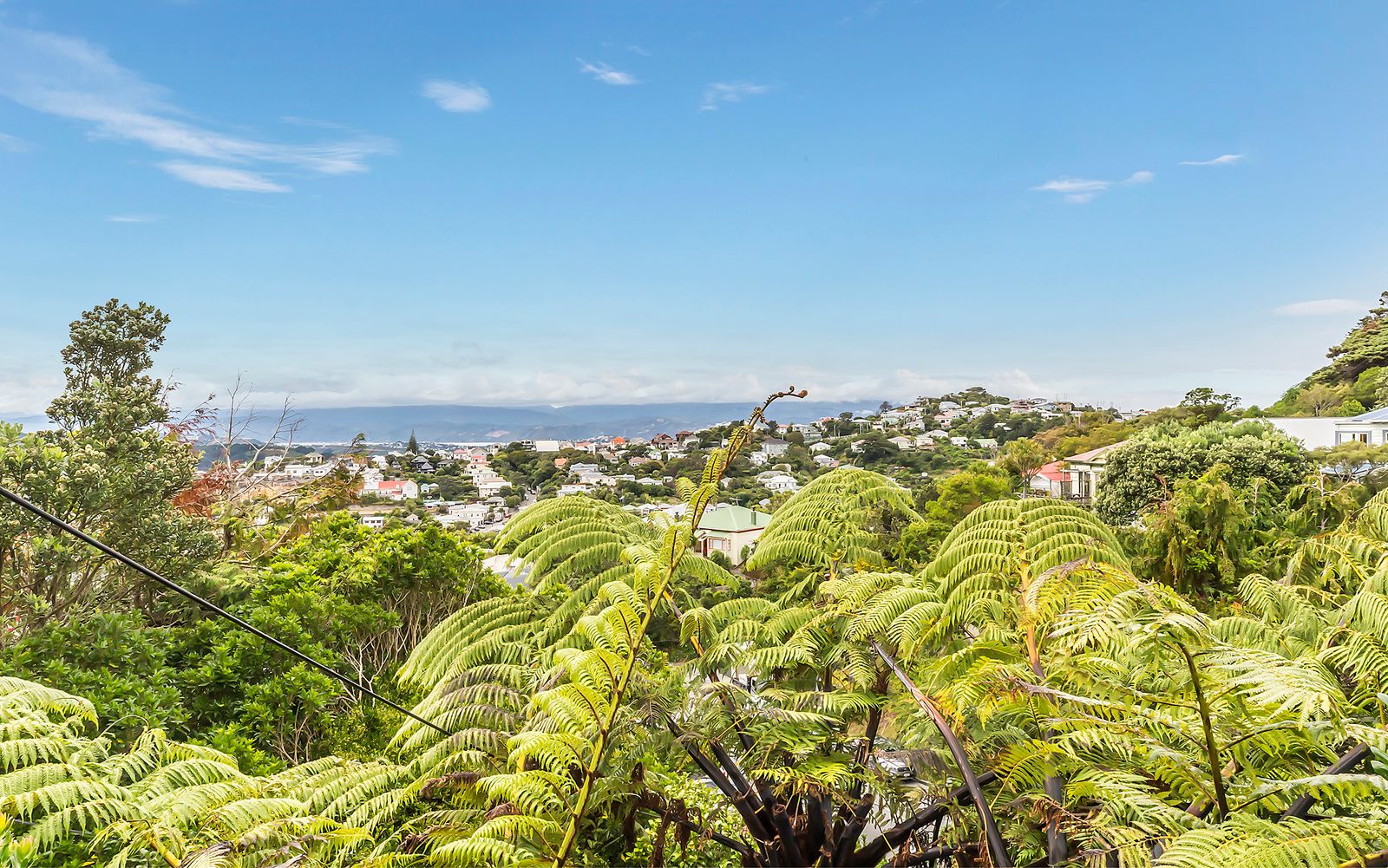 87 Todman Street, Brooklyn, Wellington City
