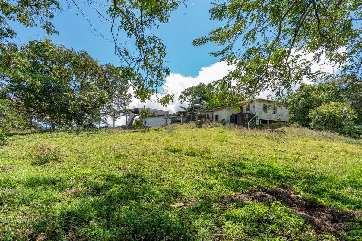 347 Nerada Road — photo 6 of 14