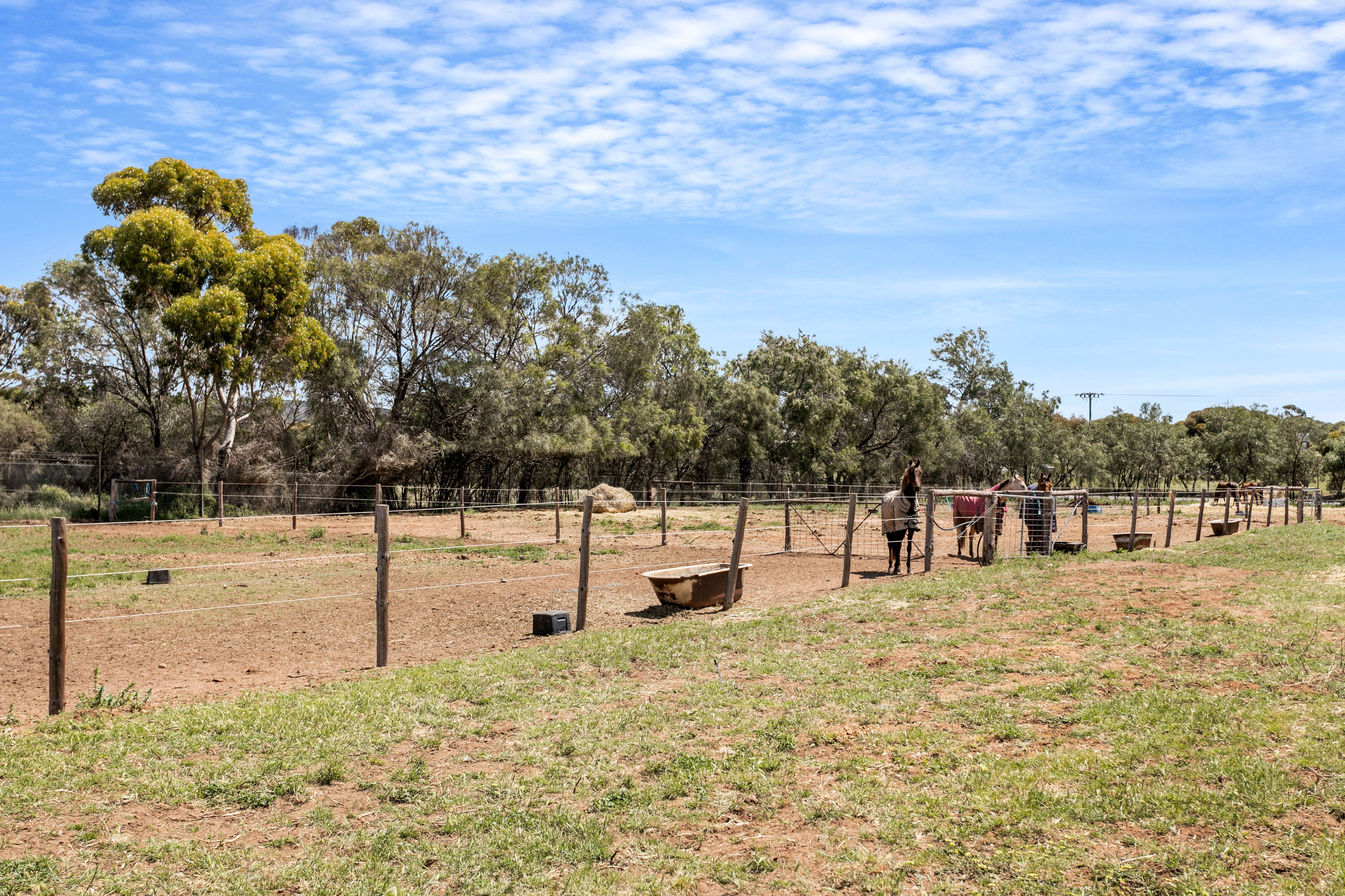 53 Old Swanport Road, Murray Bridge, SA 5253