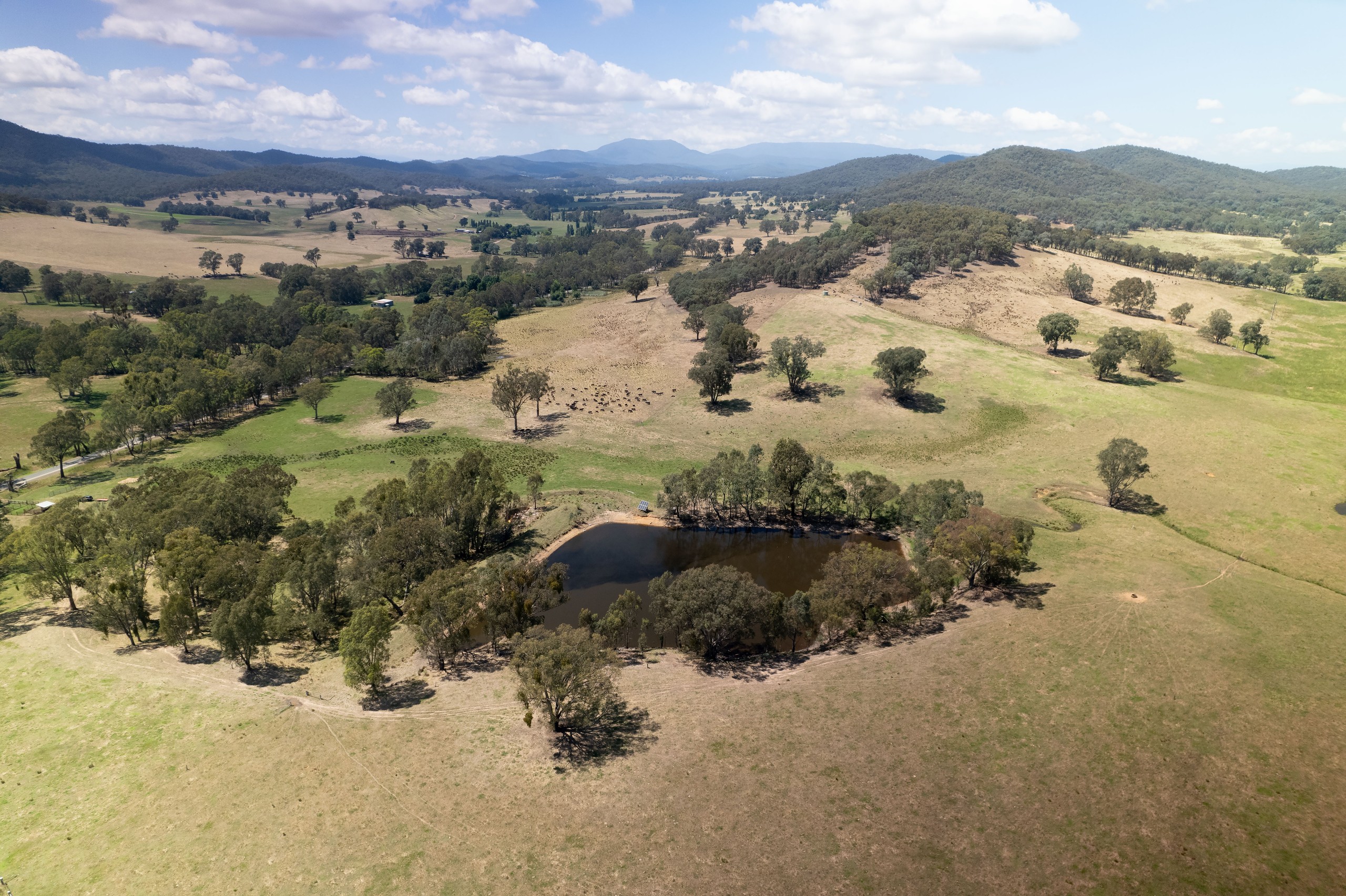 - Moyhu-Meadow Creek Road, Moyhu, VIC 3732