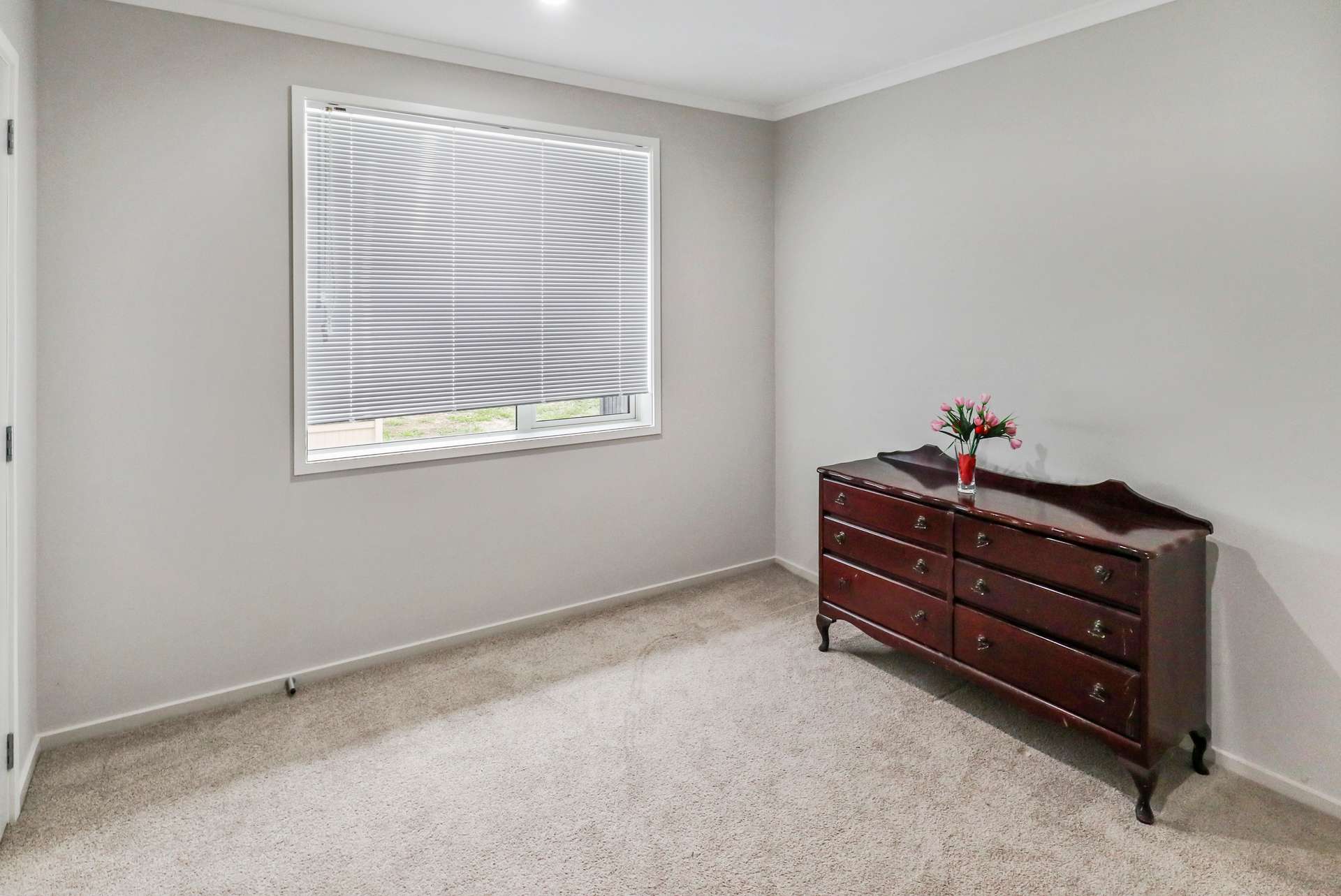 16 Pyne Crescent photo 8