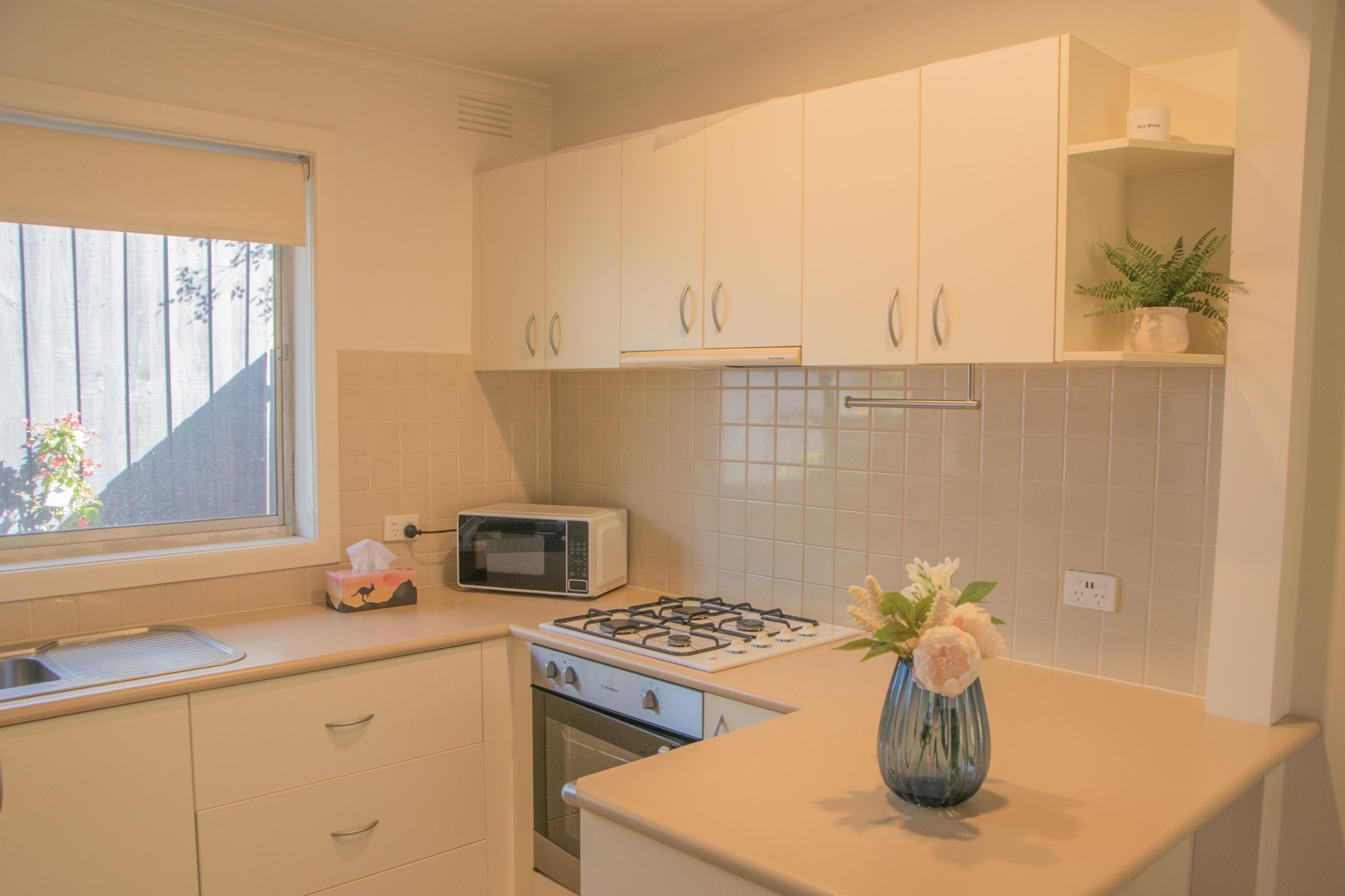 19/23-25 Olive Grove, Mentone, VIC 3194