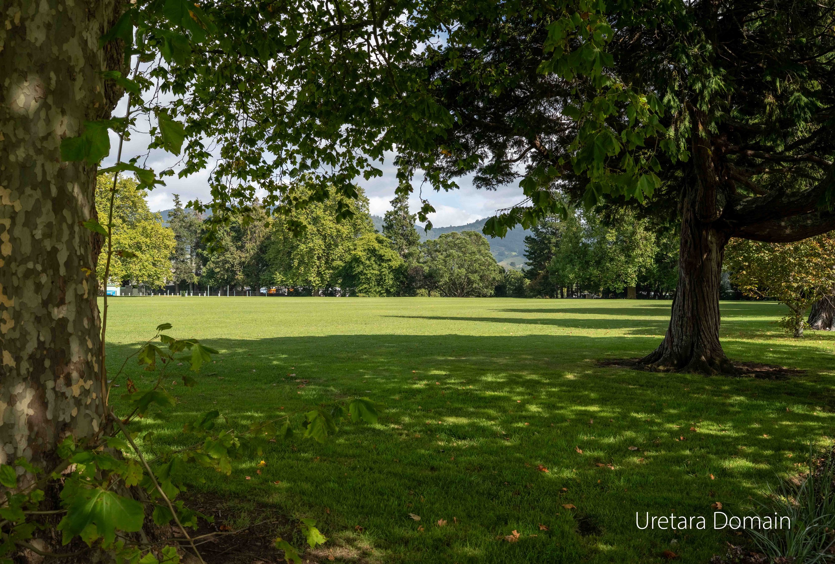 10G Church Street, Katikati, Western Bay Of Plenty District